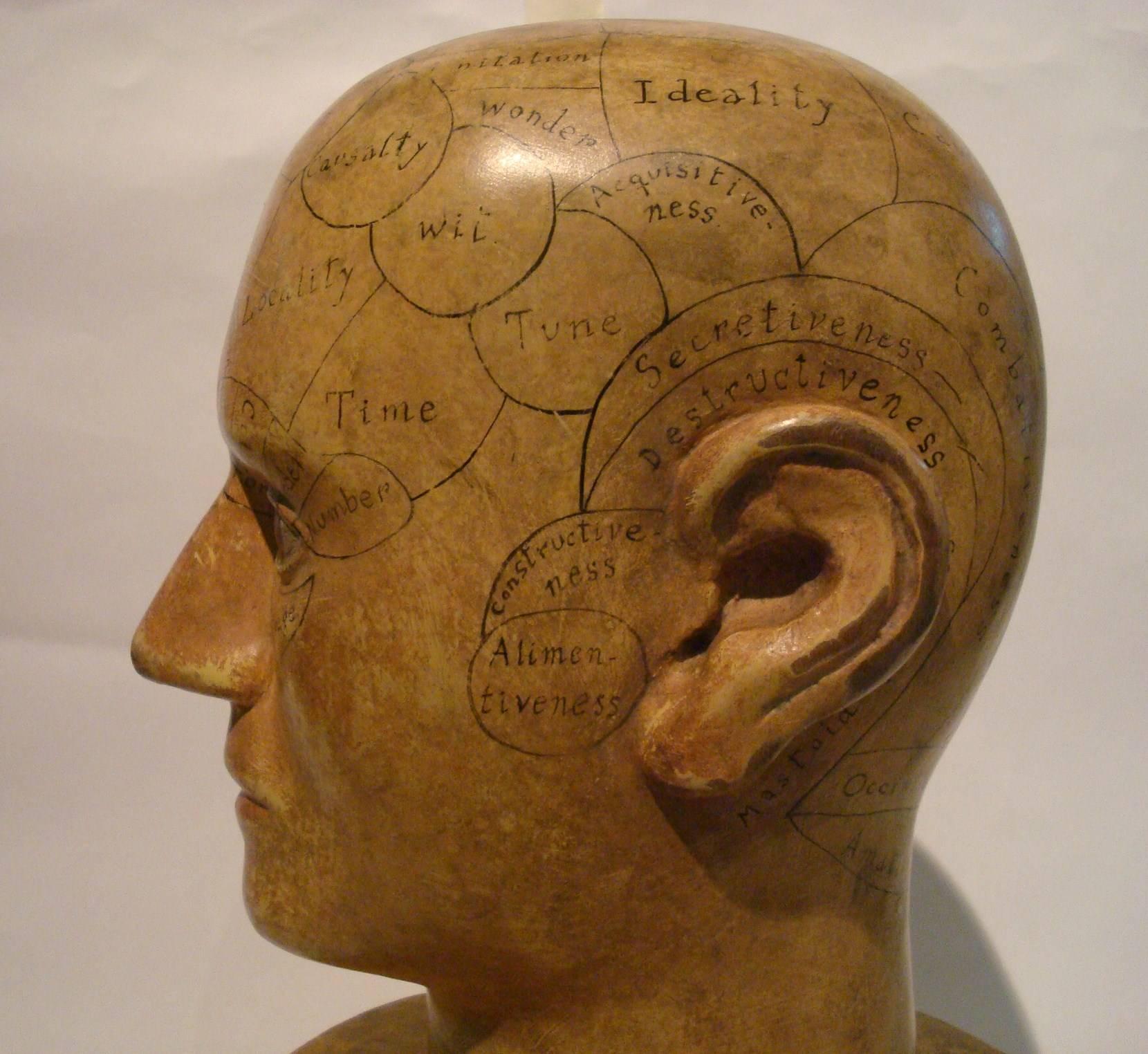 Carved and painted wooden phrenology head model, America, the head with inset glass eyes, (minor paint wear). Phrenology bust by unknown wood carver, circa 1870. Perfect to decorate a Doctor´s office or someone that works in medicine.
Phrenology