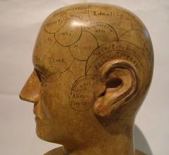 Wooden Phrenology Head Advertising Model Folk Art Americana