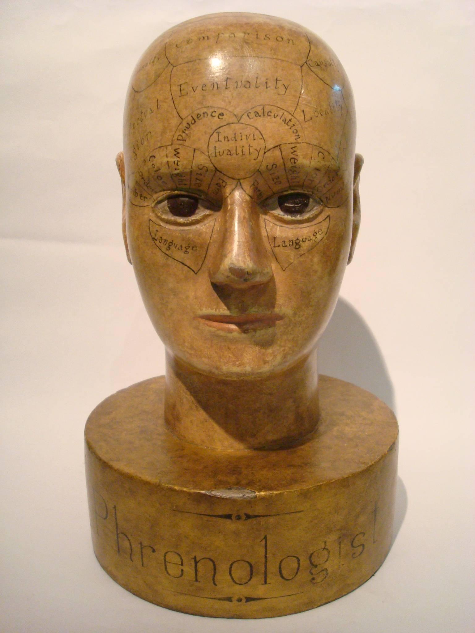 Hand-Carved Wooden Phrenology Head Advertising Model Folk Art Americana