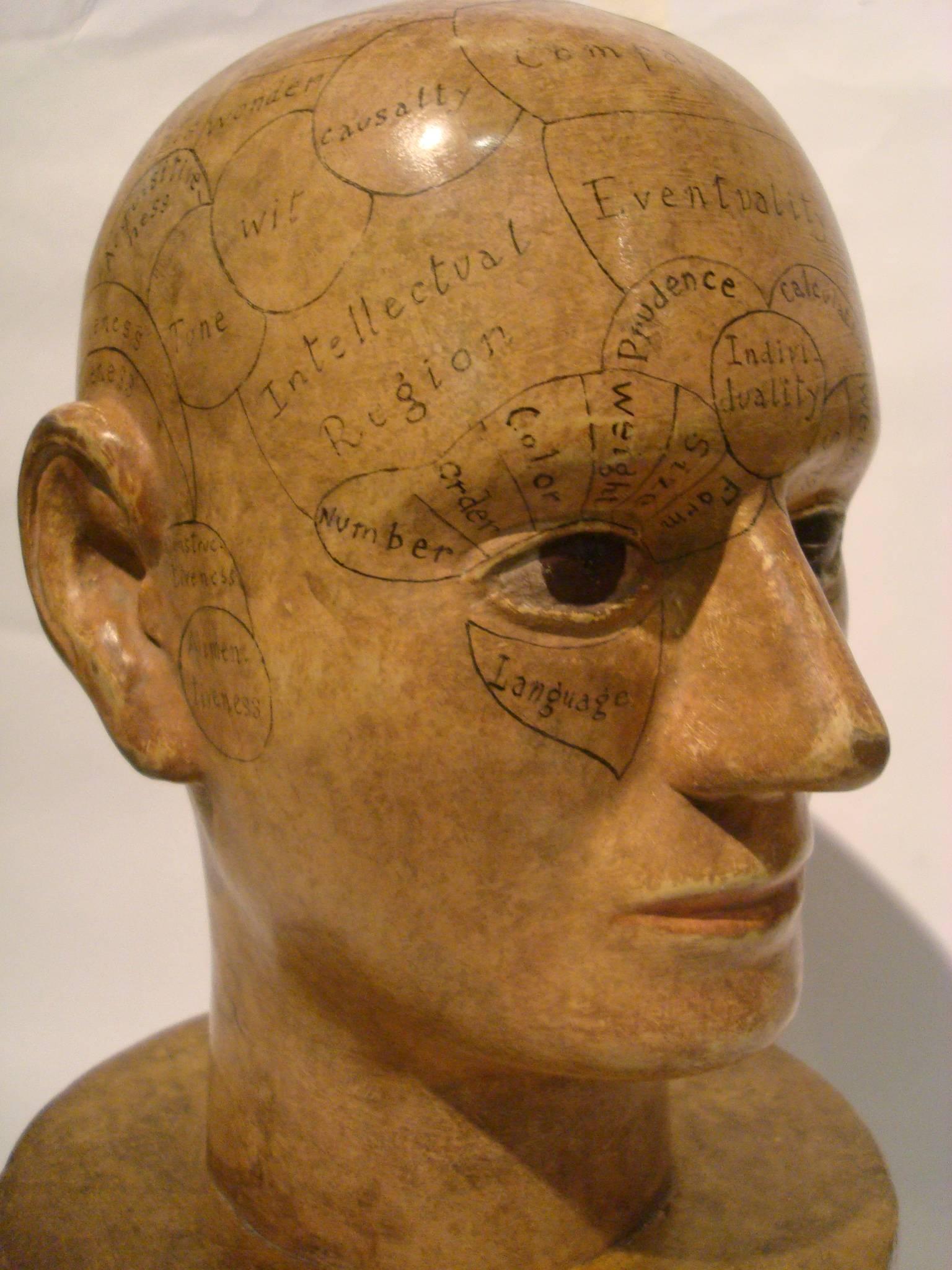 Wooden Phrenology Head Advertising Model Folk Art Americana In Good Condition In Buenos Aires, Olivos