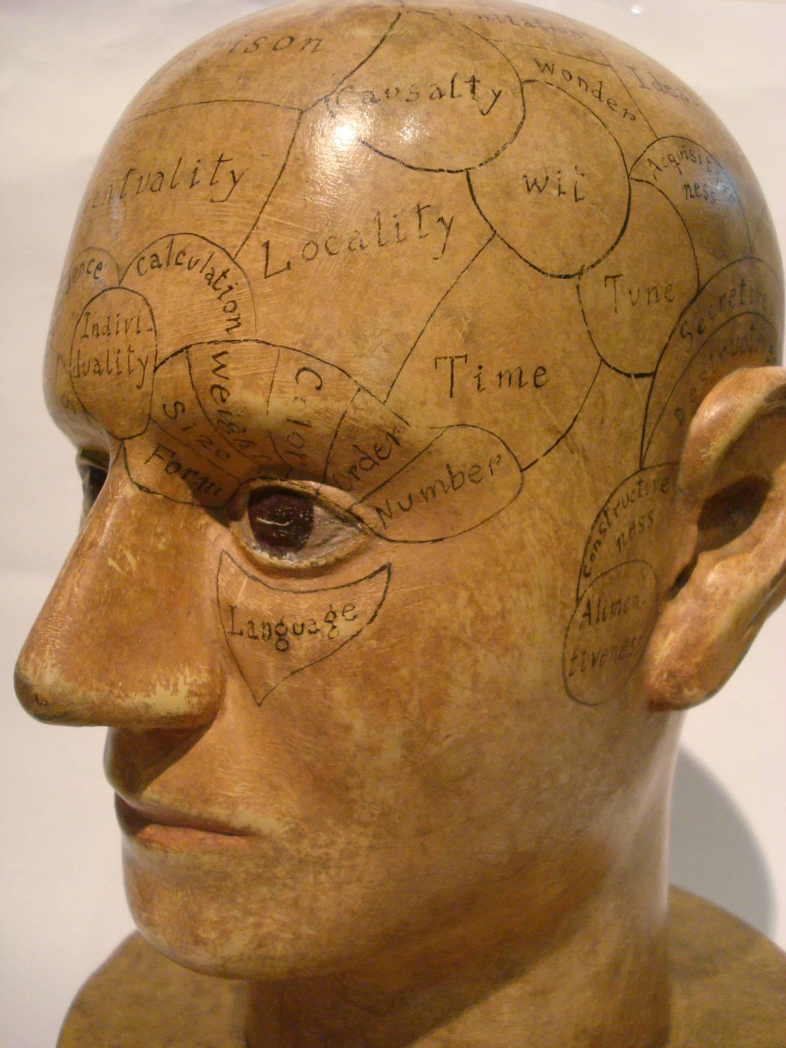 Wooden Phrenology Head Advertising Model Folk Art Americana 2