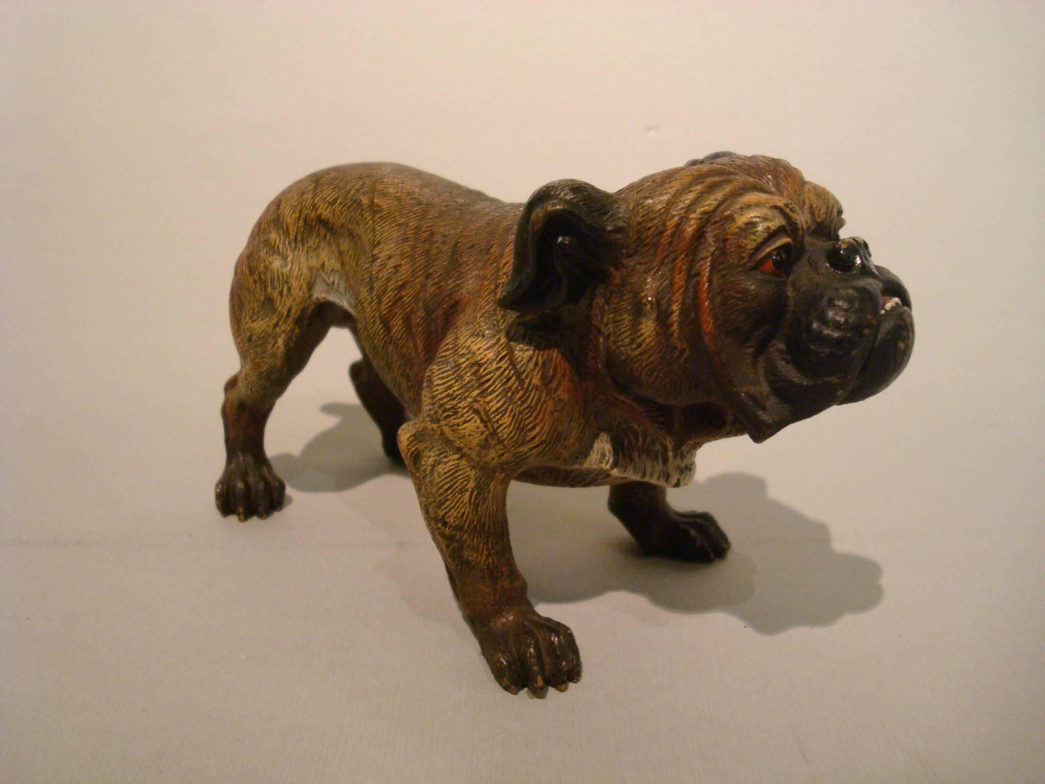 Vienna Secession Antique Large Dog Cold Painted Vienna Bronze English Bulldog Sculpture