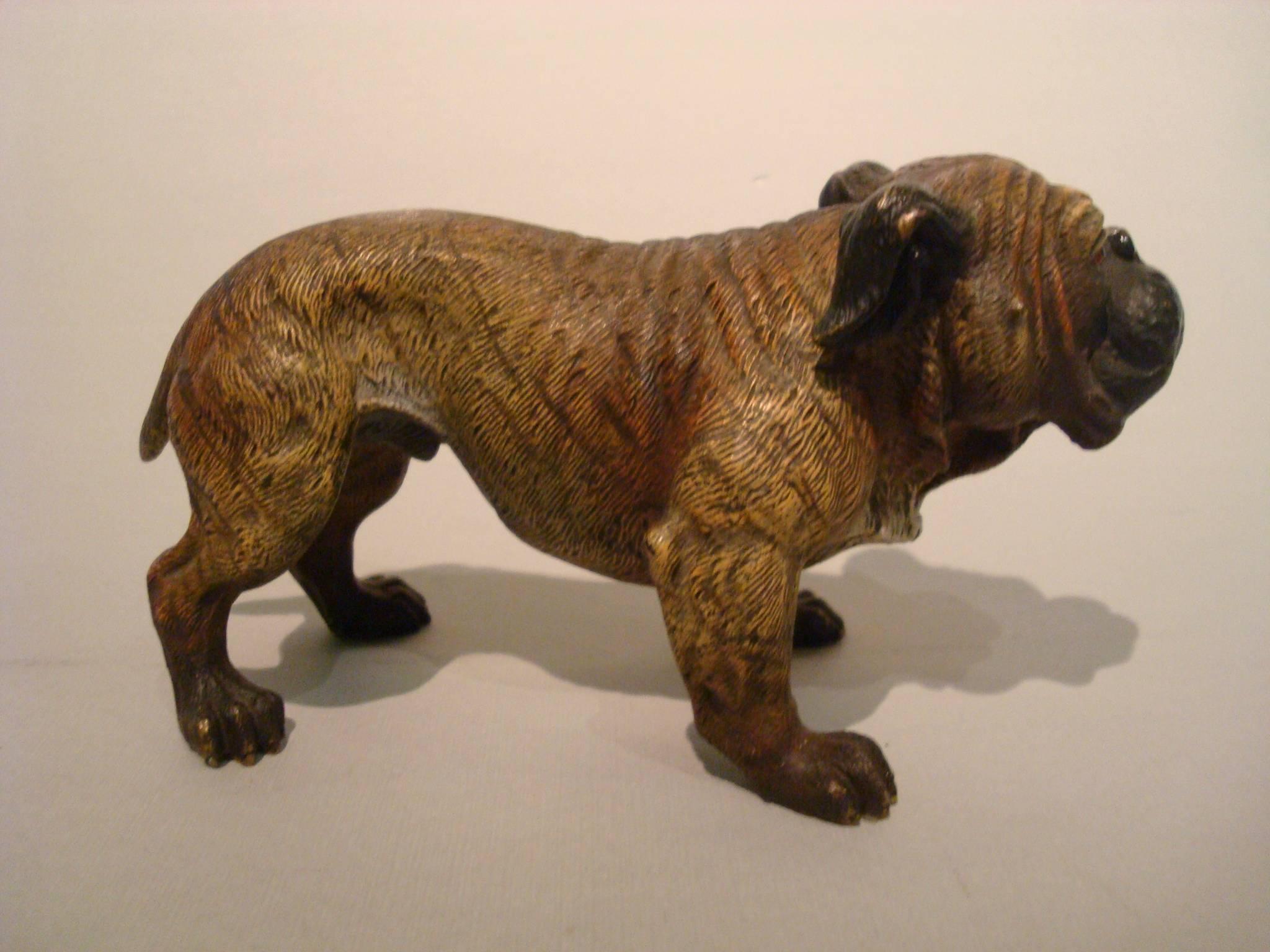 Austrian Antique Large Dog Cold Painted Vienna Bronze English Bulldog Sculpture