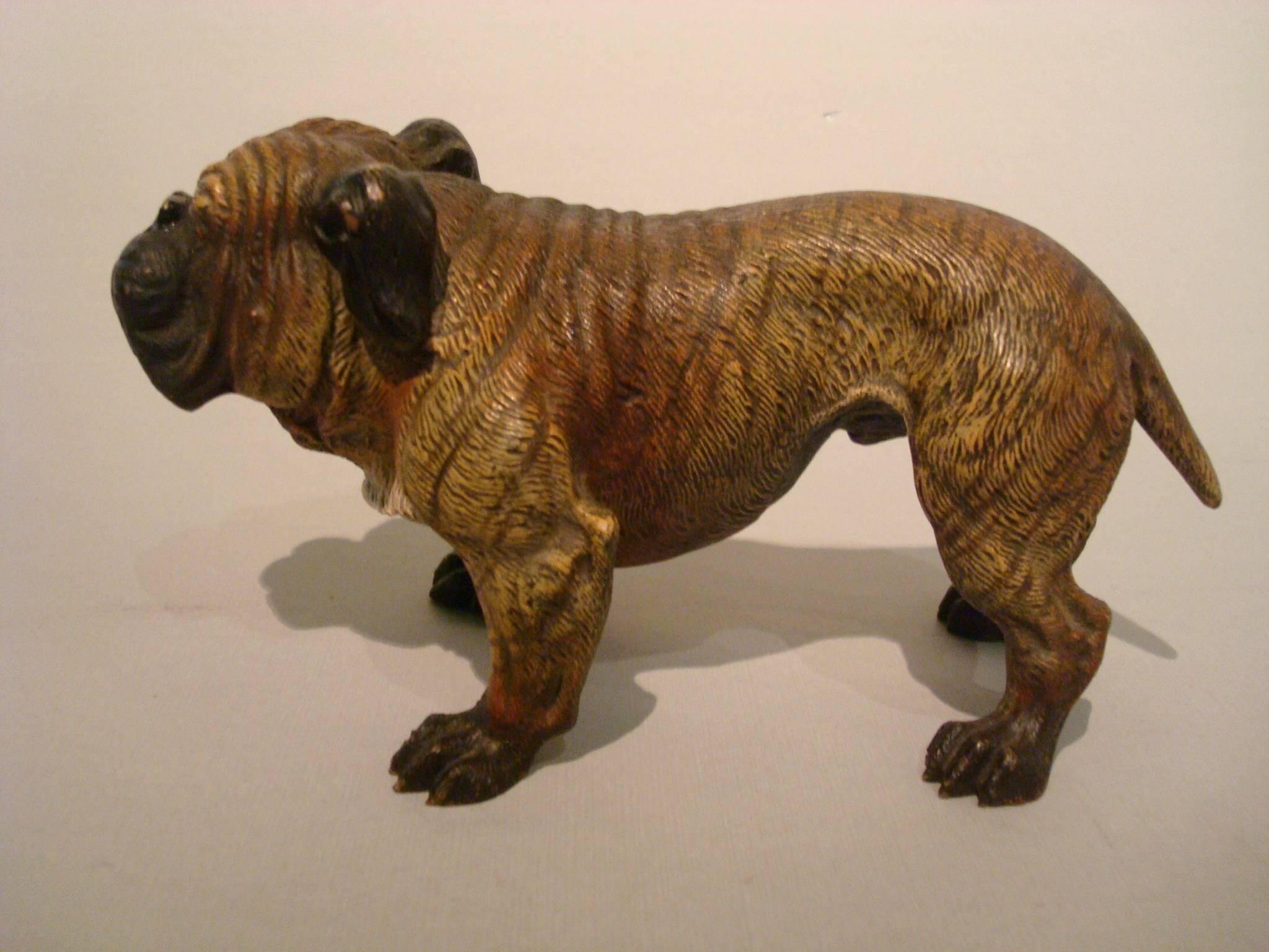 Antique Large Dog Cold Painted Vienna Bronze English Bulldog Sculpture 1