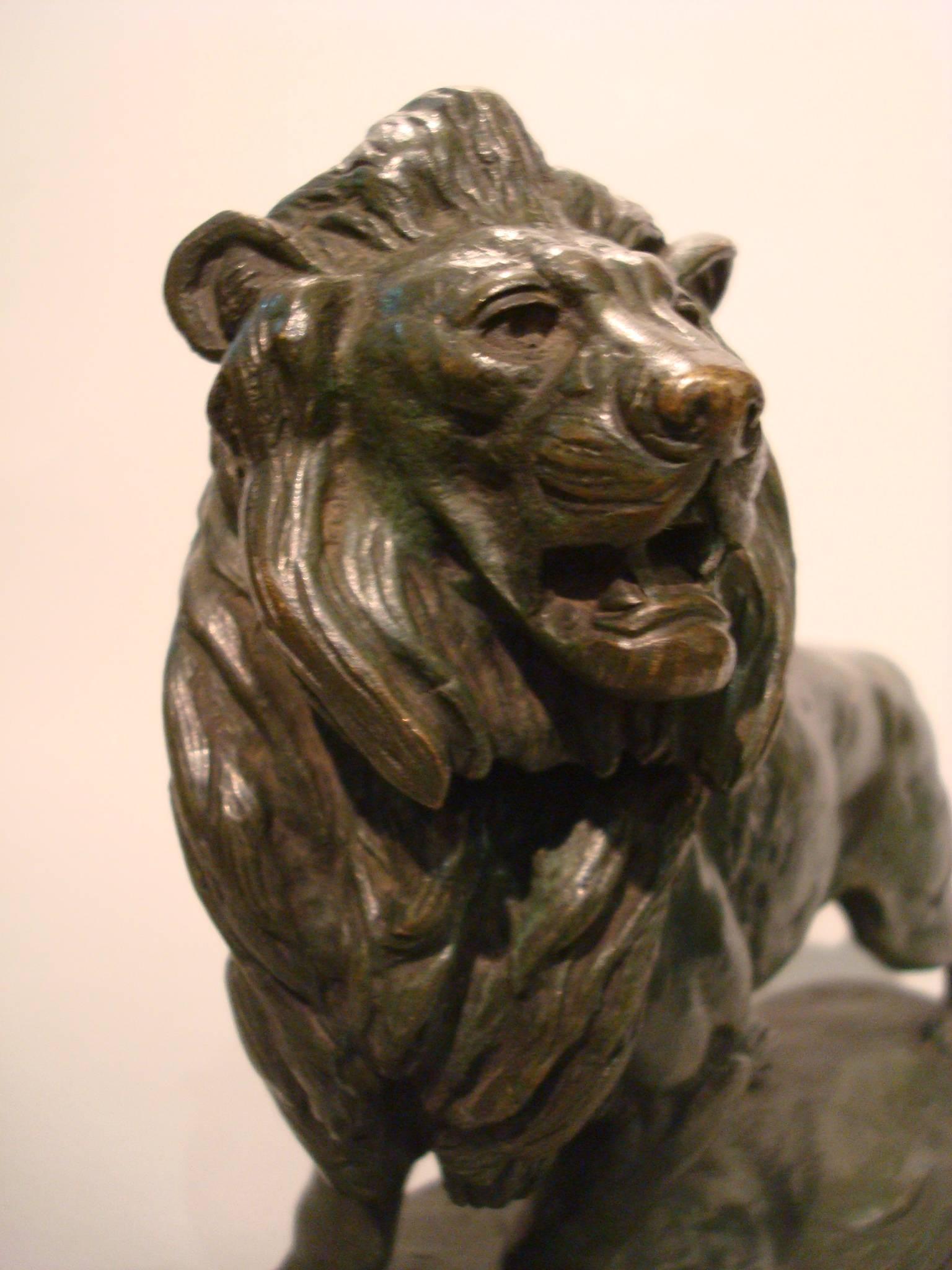 19th Century Bronze Sculpture of a Roaring Lion, E. Delabrierre, France 2