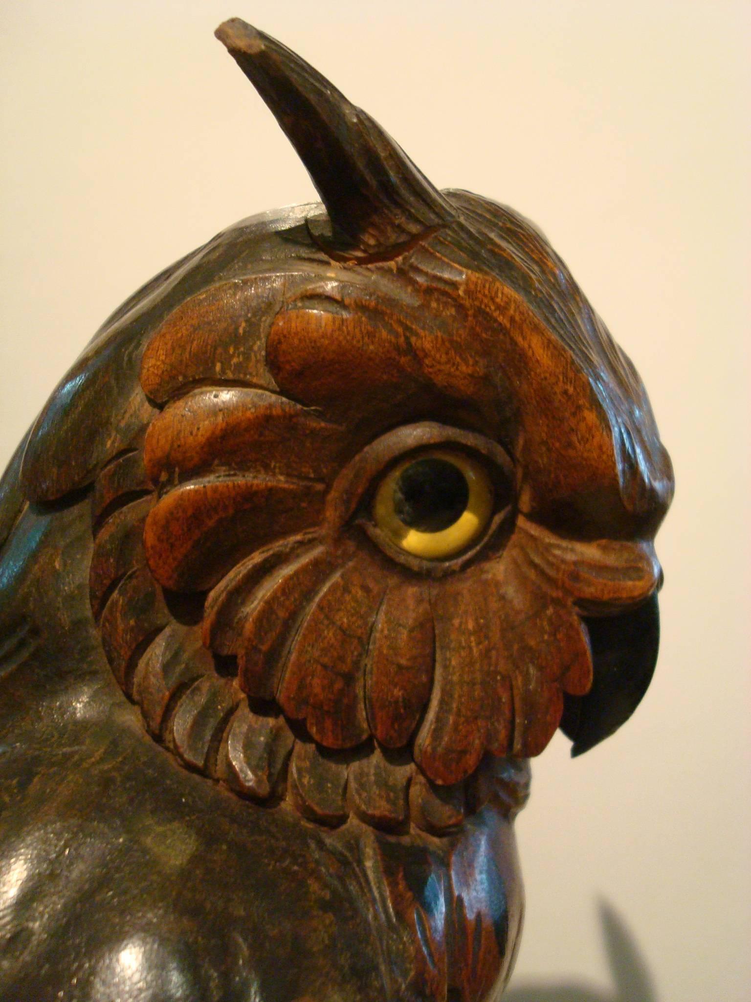 Late 19th Century Black Forest Wooden Carved Owl over Books, Germany, 1890s