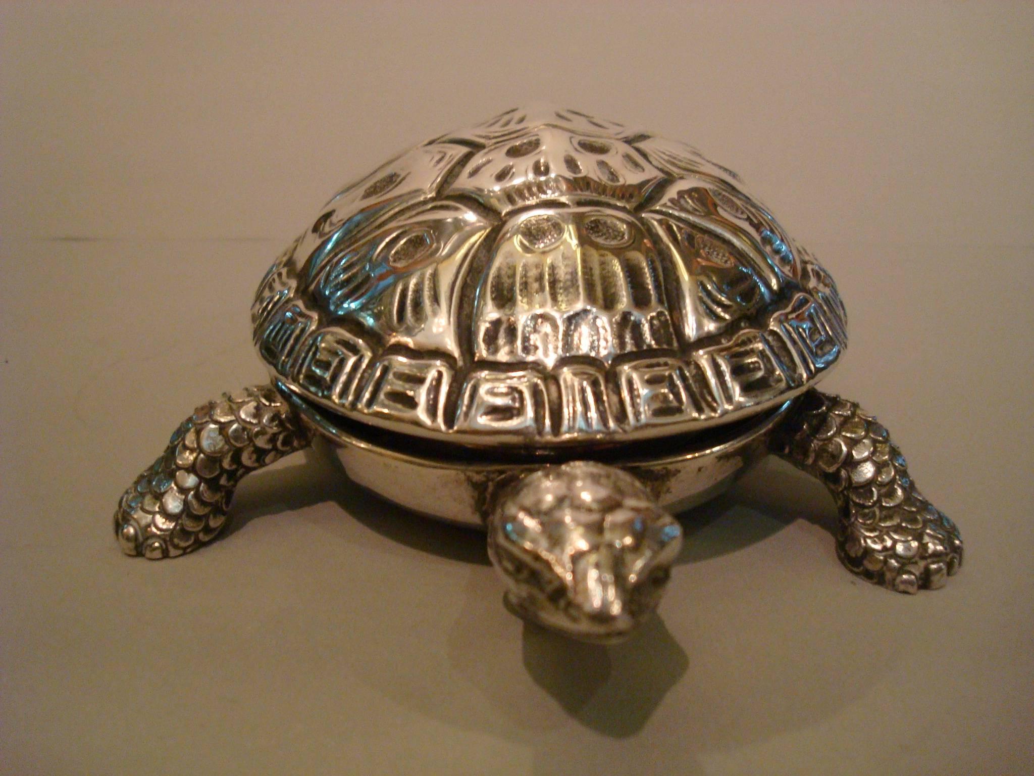 tortoise bell for sale