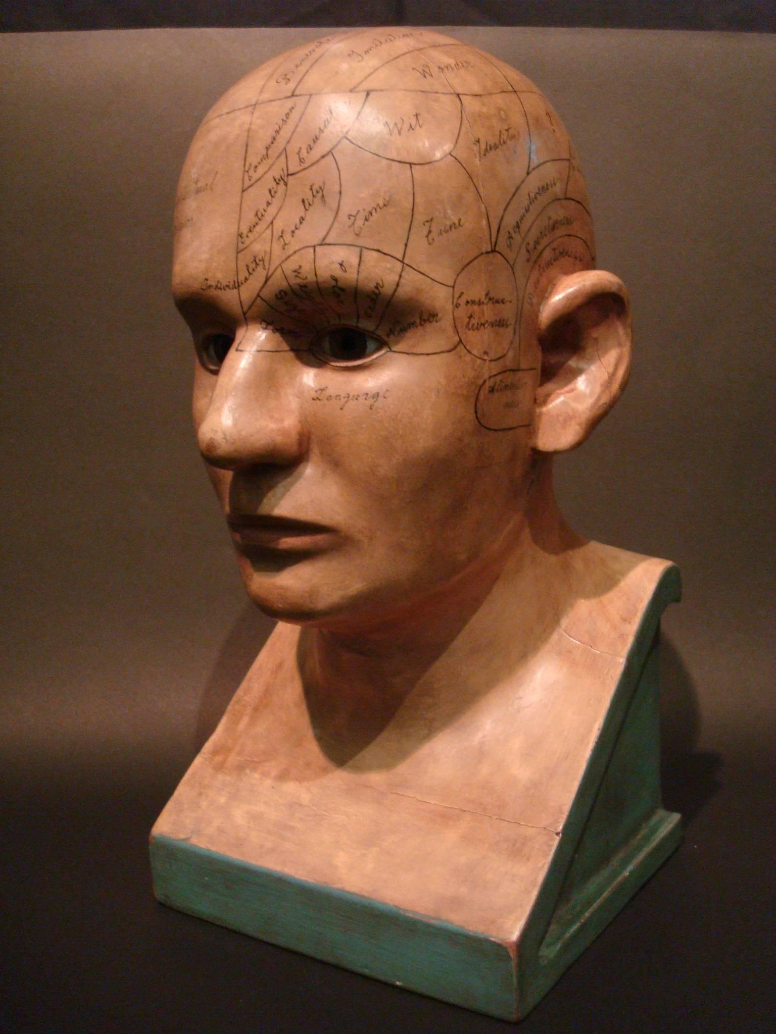 Carved and Painted Wooden Phrenology Head Model Folk Art Americana 6
