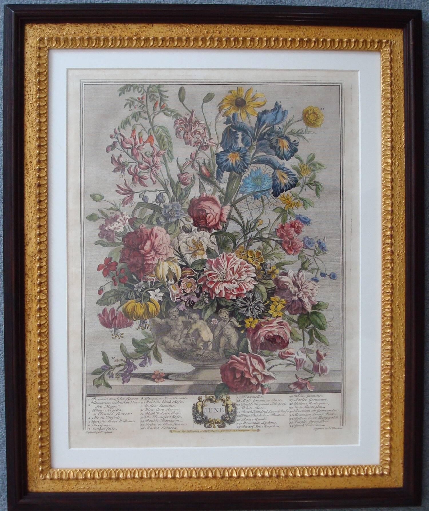 George I 12 Months of Flowers Set of 12 Colored Engravings by R Furber For Sale