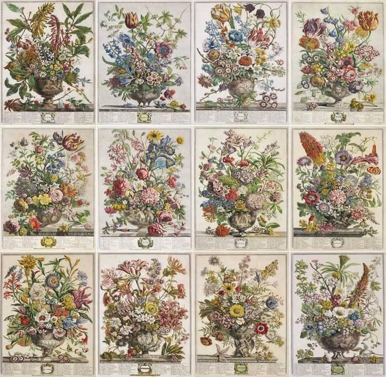 12 Months of Flowers Set of 12 Colored Engravings by R Furber For Sale