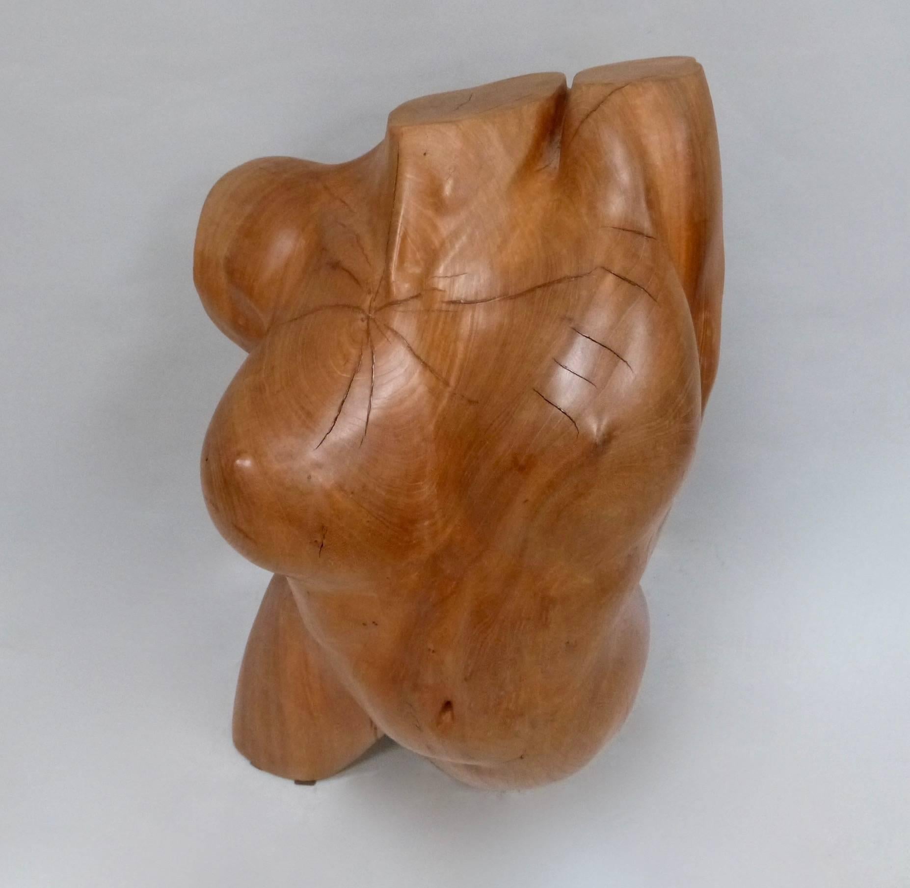 A French hardwood Torso of a Young Woman by Dominique Rayou, signed 'Rayou".
Dominique Rayou is a sculptor who specialises in sensuous carvings of abstract torsos and botanical shapes. Self-taught, his work is predominately in marble or