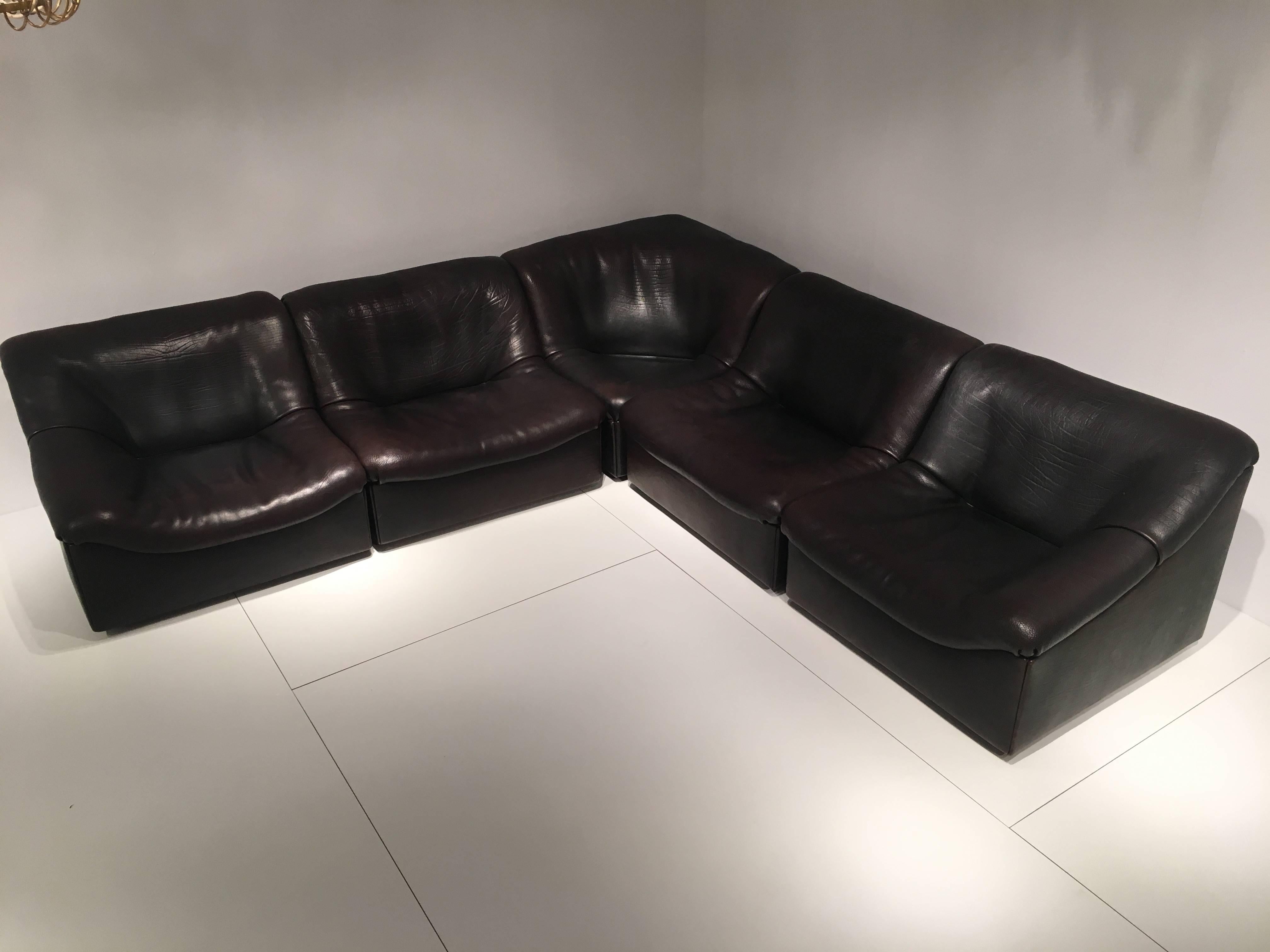 Mid-Century Modern Sofa De Sede DS46 Buffalo Leather, Five Elements