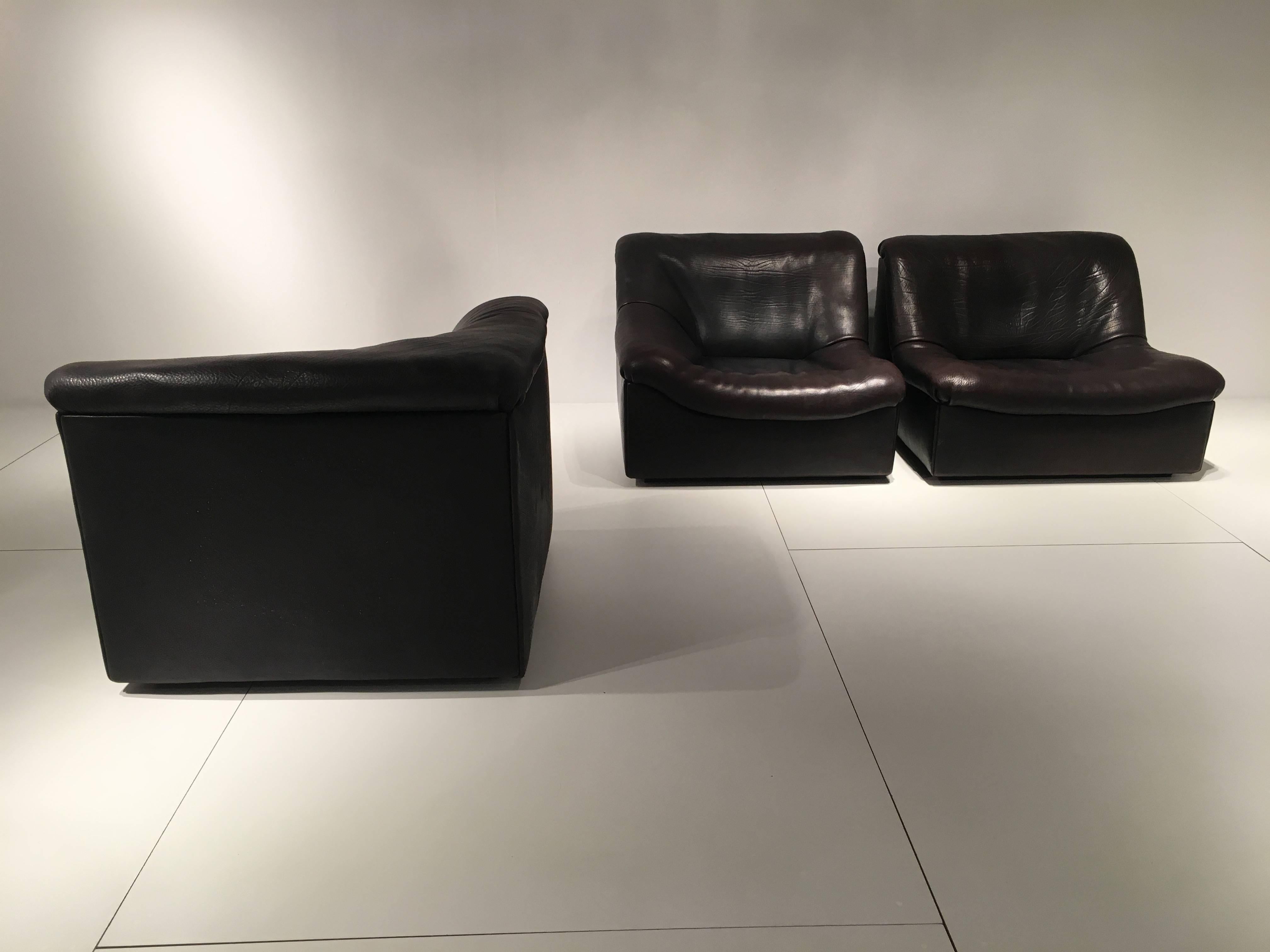 Sofa De Sede DS46 Buffalo Leather, Five Elements 2