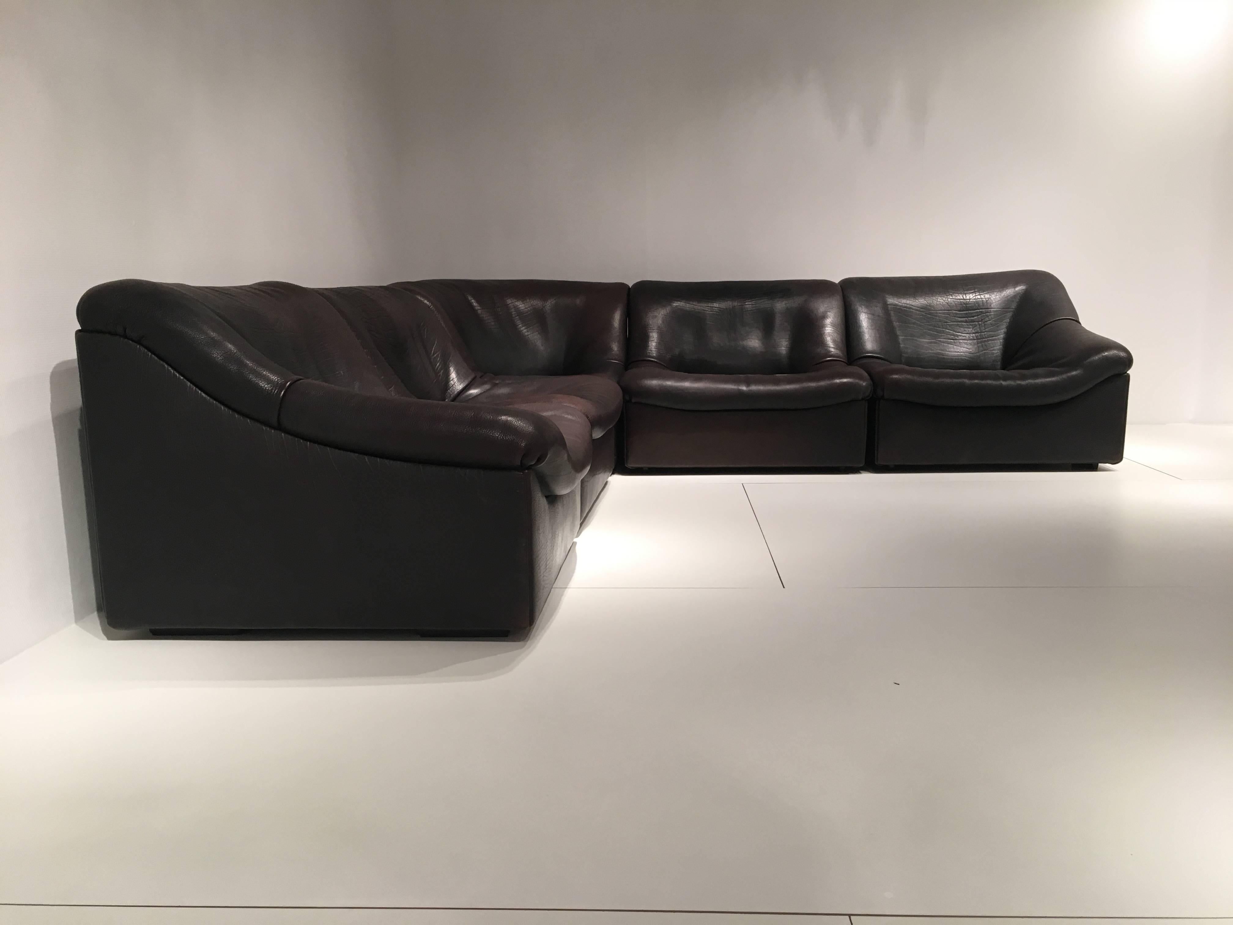 Mid-Century Modern Sofa De Sede DS46 Buffalo Leather, Five Elements
