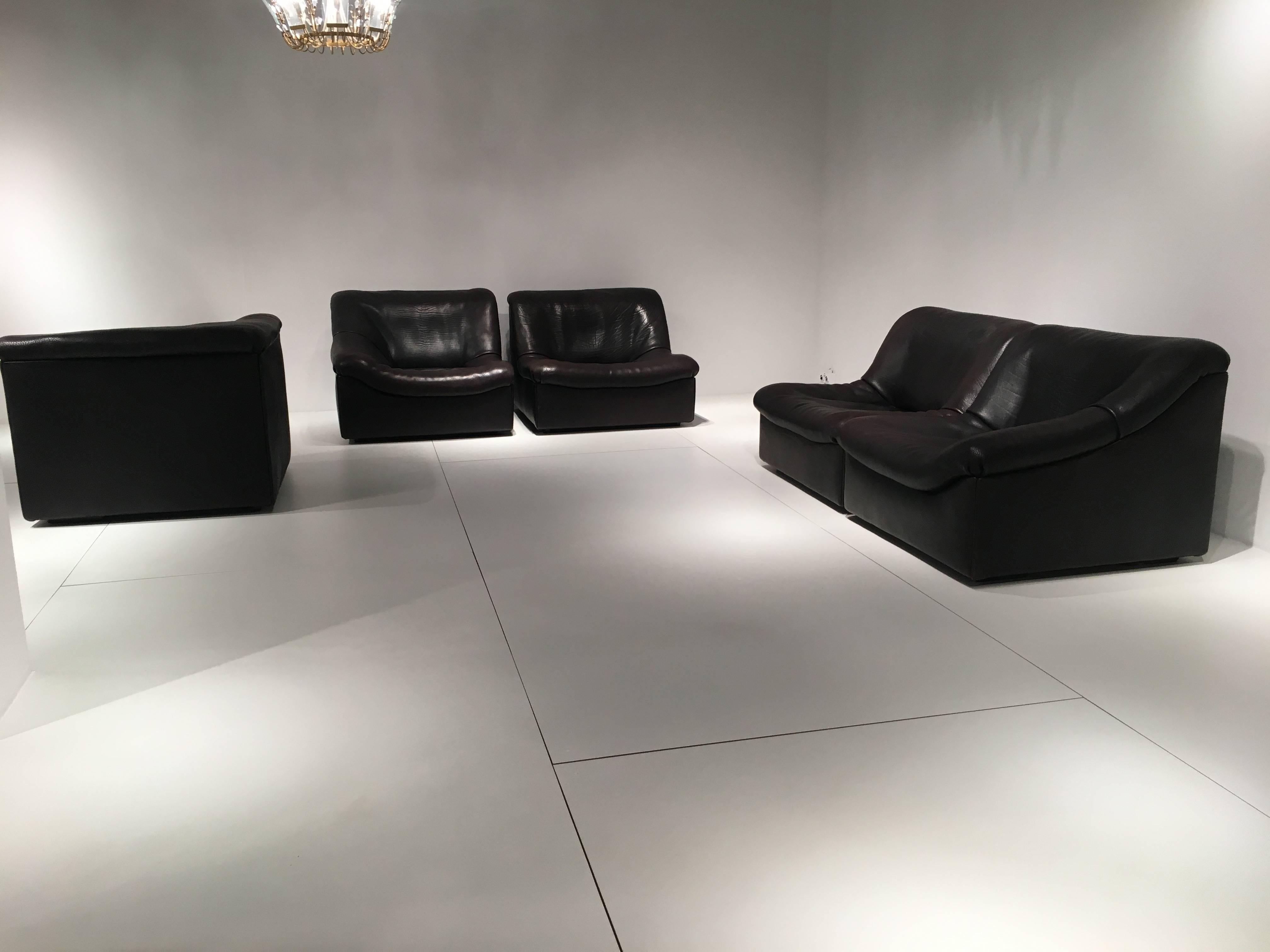 Late 20th Century Sofa De Sede DS46 Buffalo Leather, Five Elements