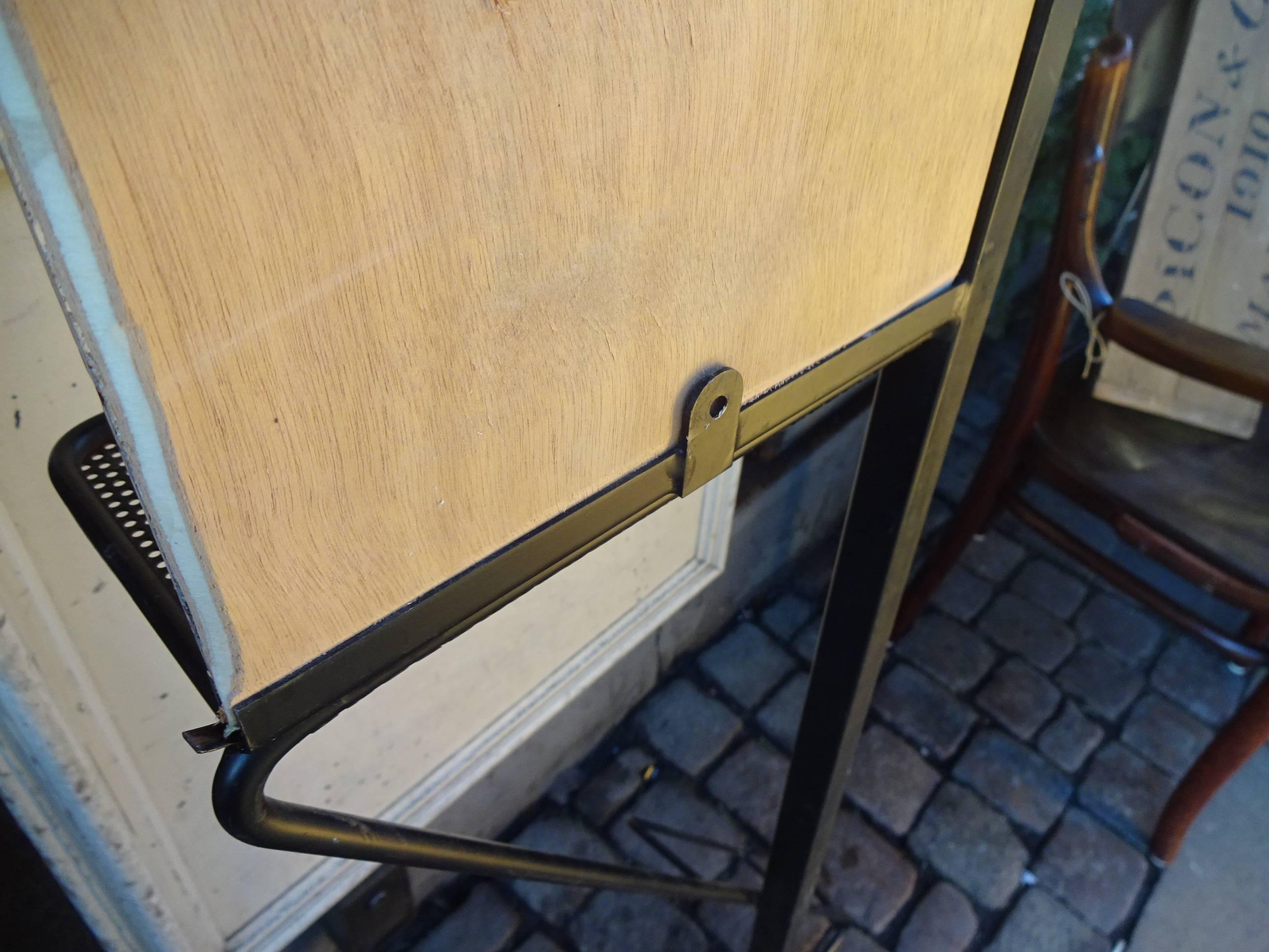 Mid-20th Century French Designer Wall and Mirror Coatstand In Good Condition For Sale In Copenhagen K, DK