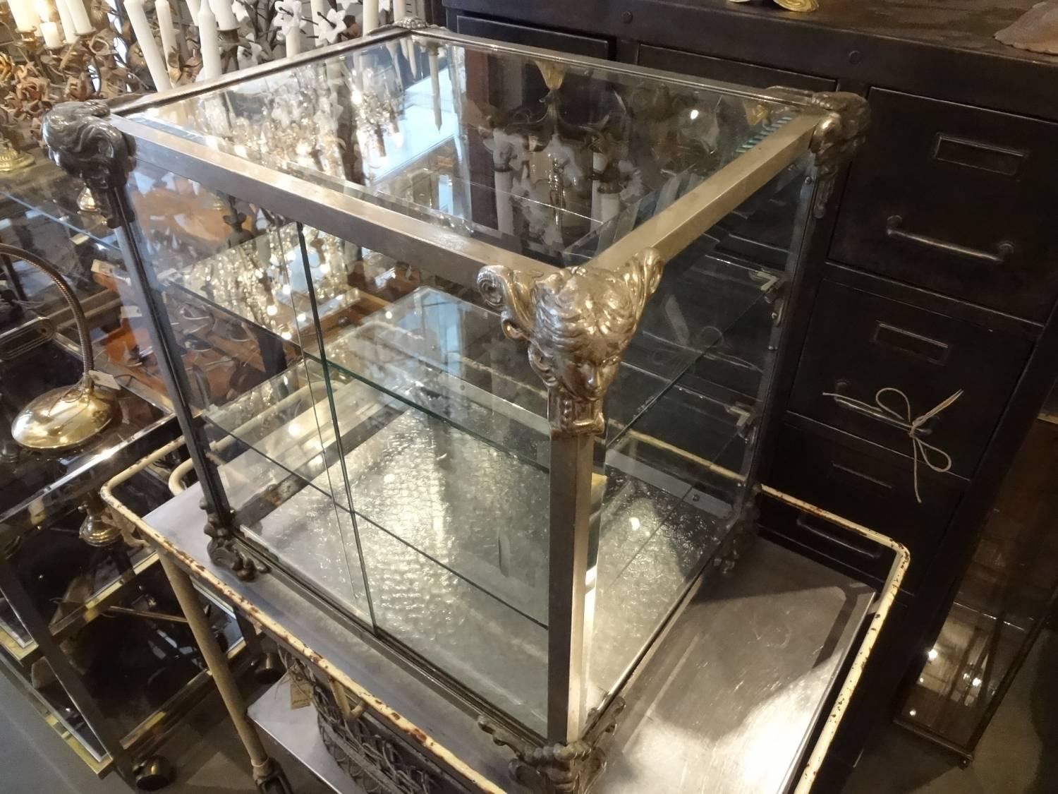Stunning Art Nouveau boutique display unit, from 1890s France. Beautifully executed in patinated chromed cast iron, with ornamented details on the top and base. Glass sliding doors and two glass shelves.