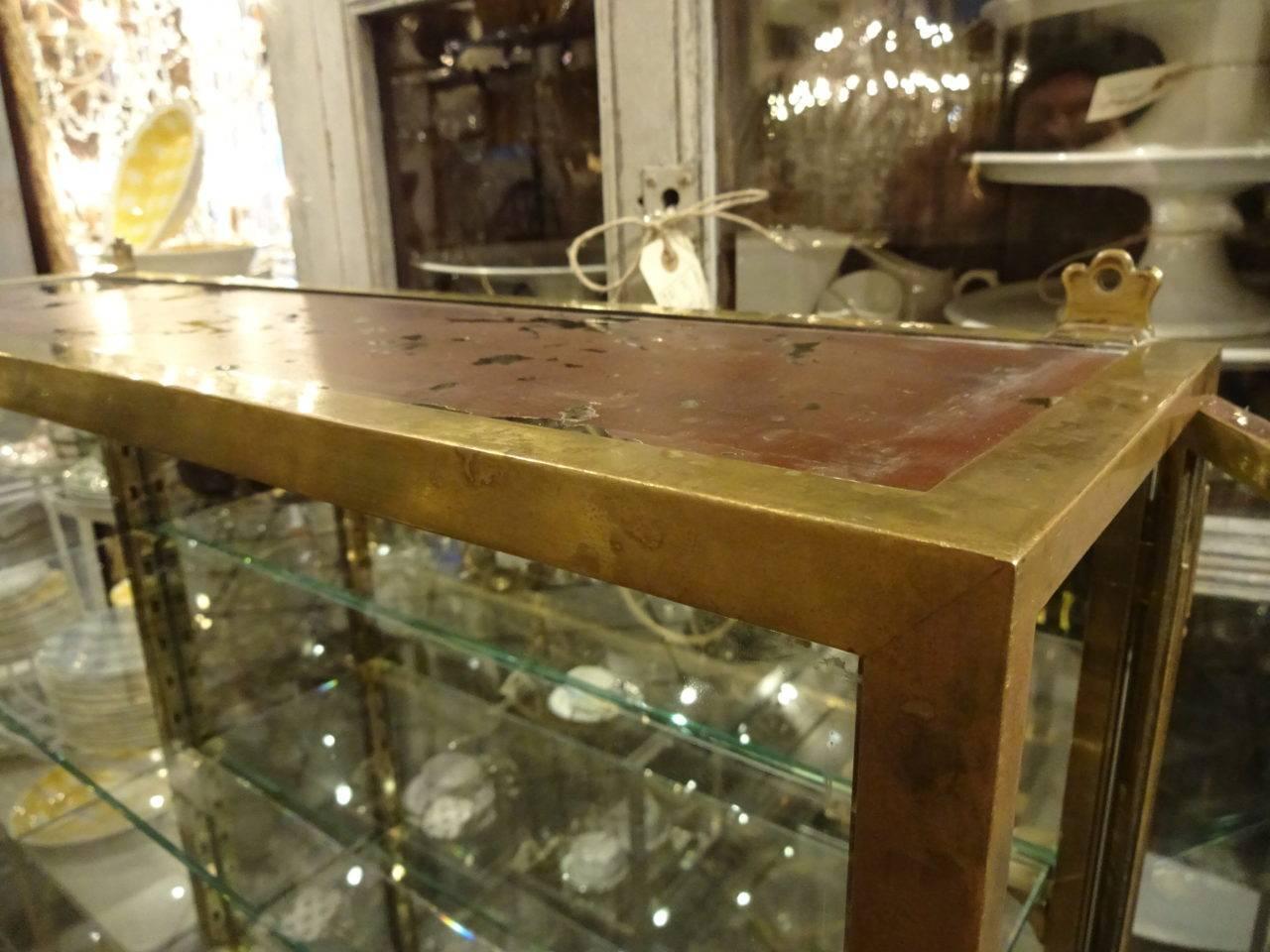 French Early 20th Century Brass Display Cabinet