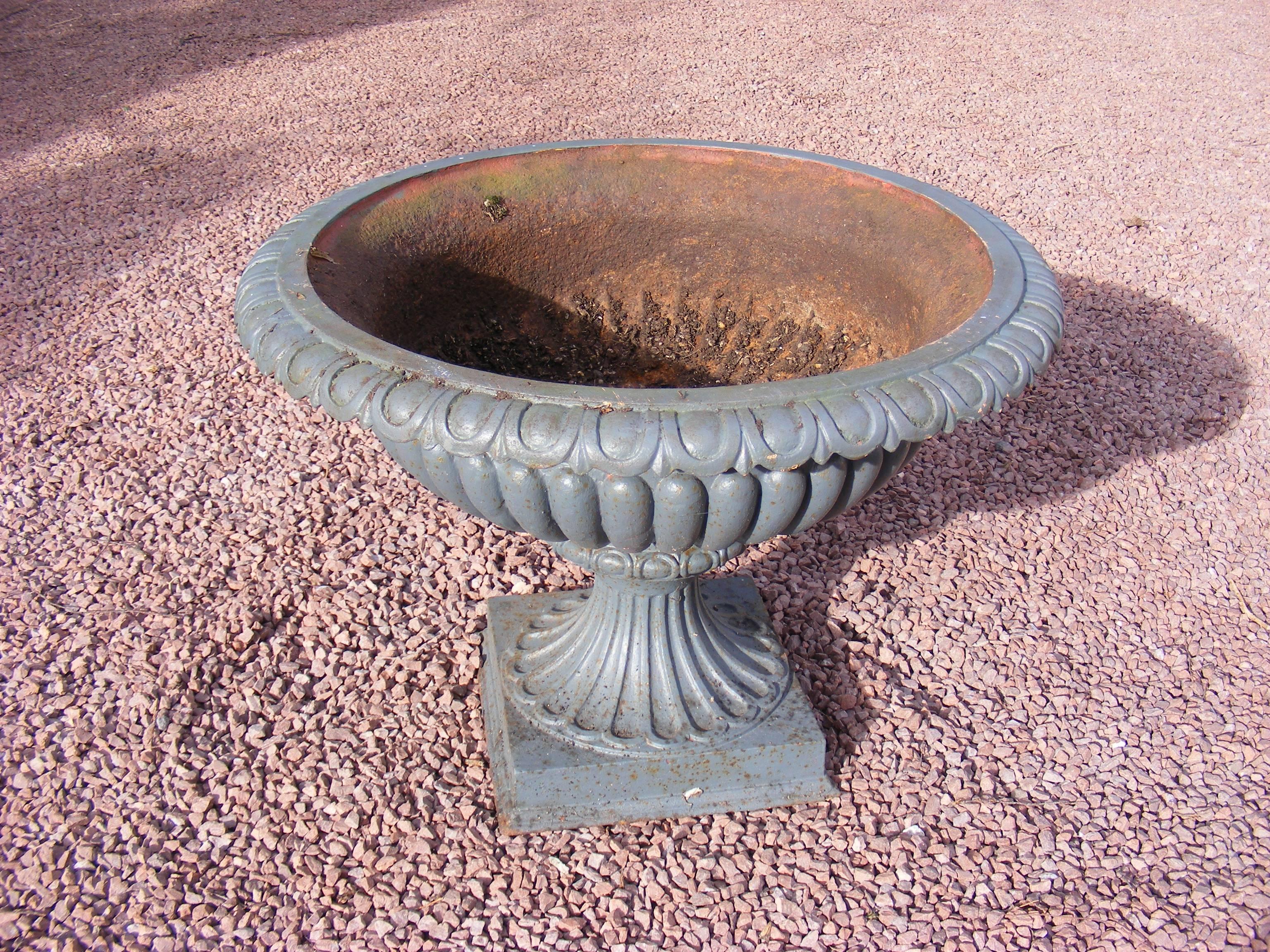 This classical George III jardinière urn of the Adam period will make a stunning feature in any garden or summer house. Indeed, we have seen a number of these urns converted for use as water fountains.

Made from cast iron this urn has been
