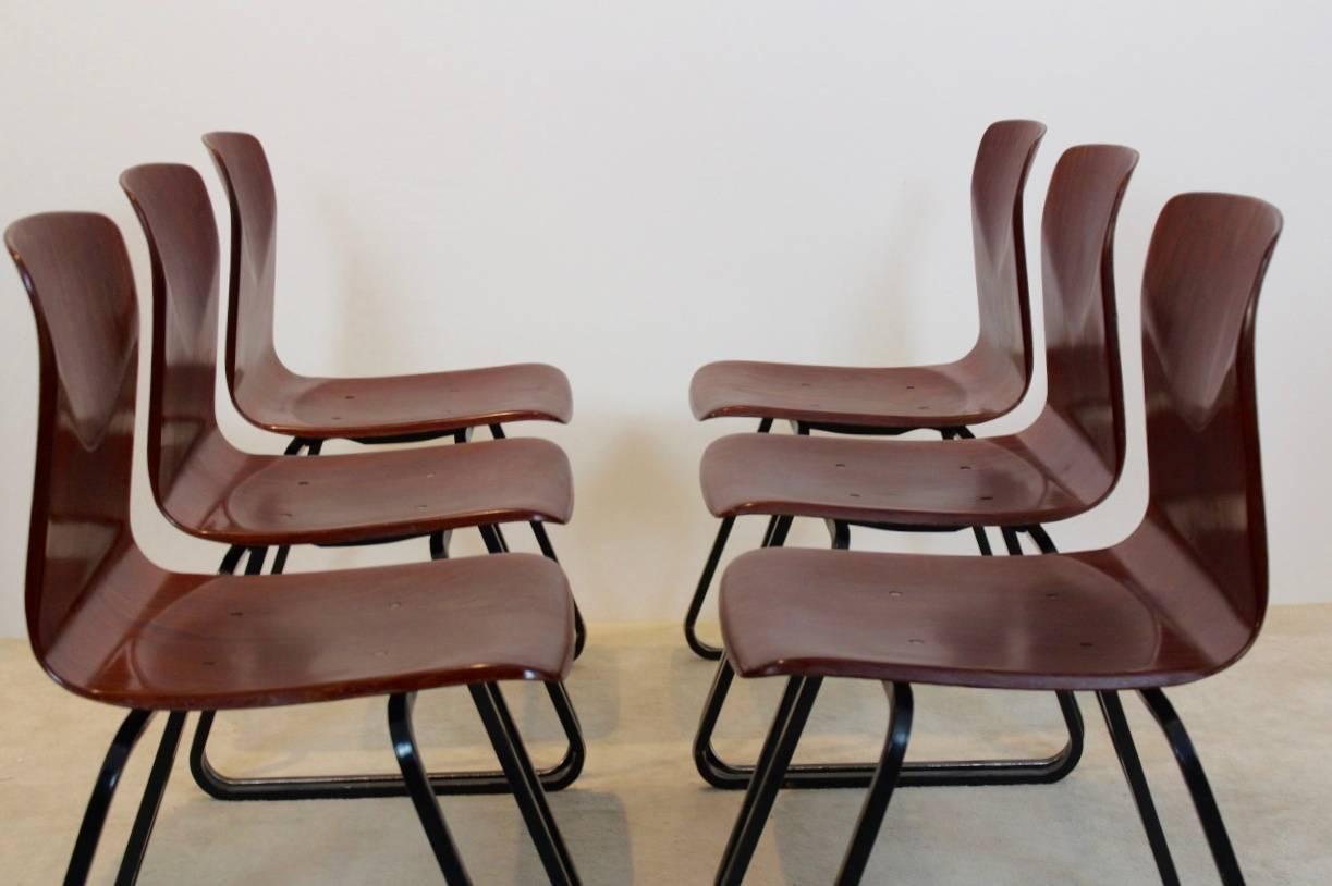 Mid-Century Modern Large Stock of Brown Stackable Pagholz Galvanitas S22 Industrial Diner Chairs, 1