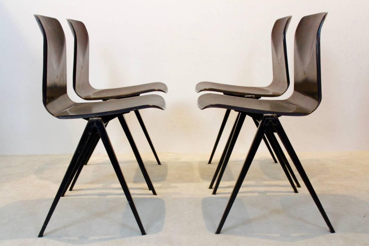 Mid-Century Modern Wengé Stackable Pagholz Galvanitas S22 Industrial Diner Chairs, 1960s