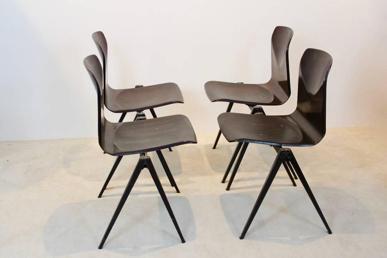 Wengé Stackable Pagholz Galvanitas S22 Industrial Diner Chairs, 1960s 1