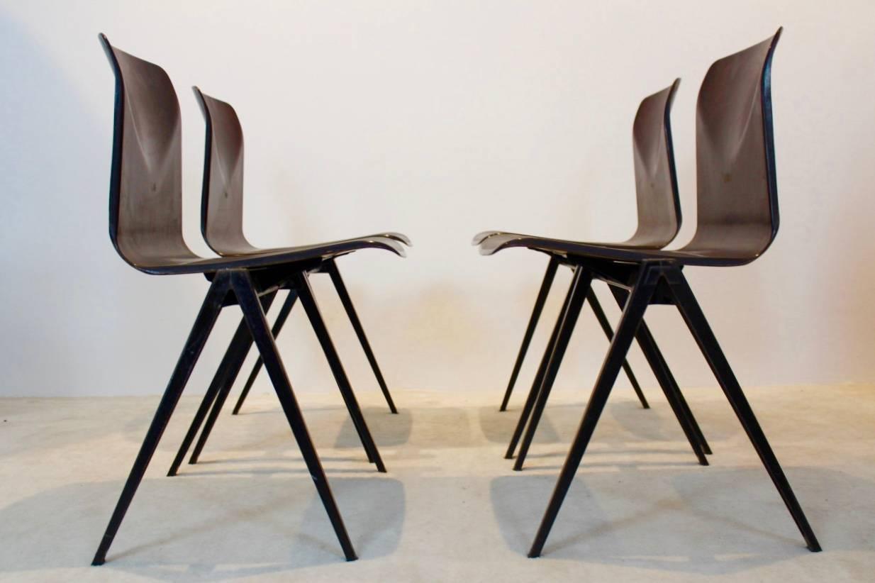 Wengé Stackable Pagholz Galvanitas S22 Industrial Diner Chairs, 1960s 2