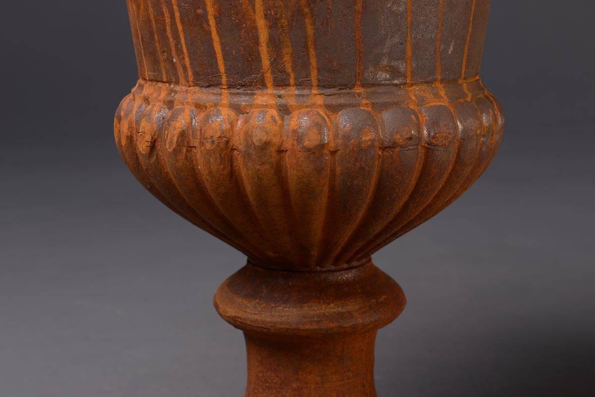 European Flower Pot Formed like an Urn, Neoclassical Style