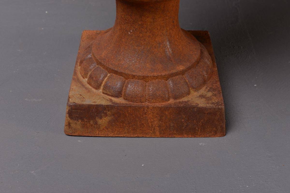 Cast Flower Pot Formed like an Urn, Neoclassical Style