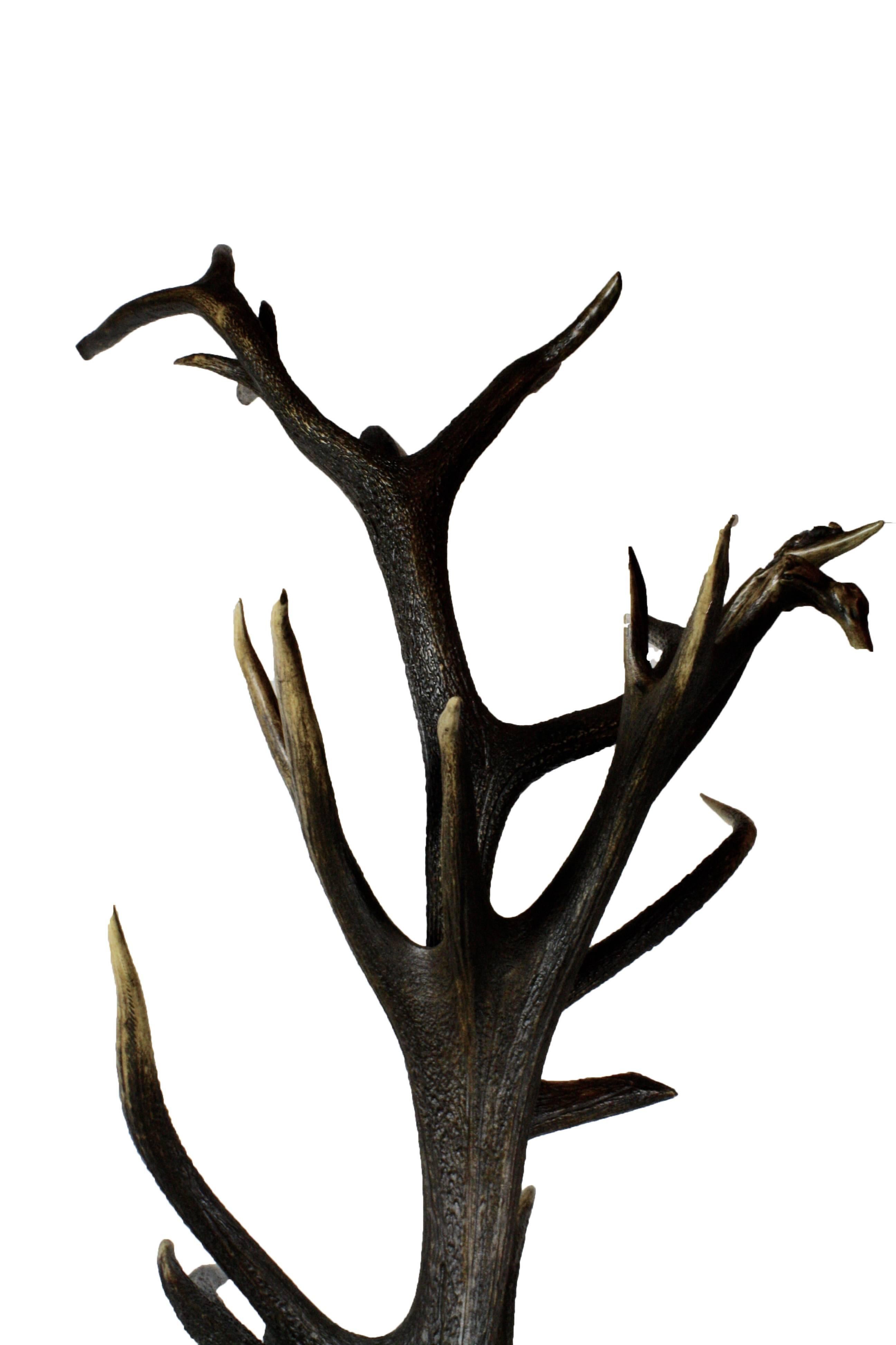 German Red Stag Antler Hall Tree with Carved Base In Excellent Condition In Evergreen, CO