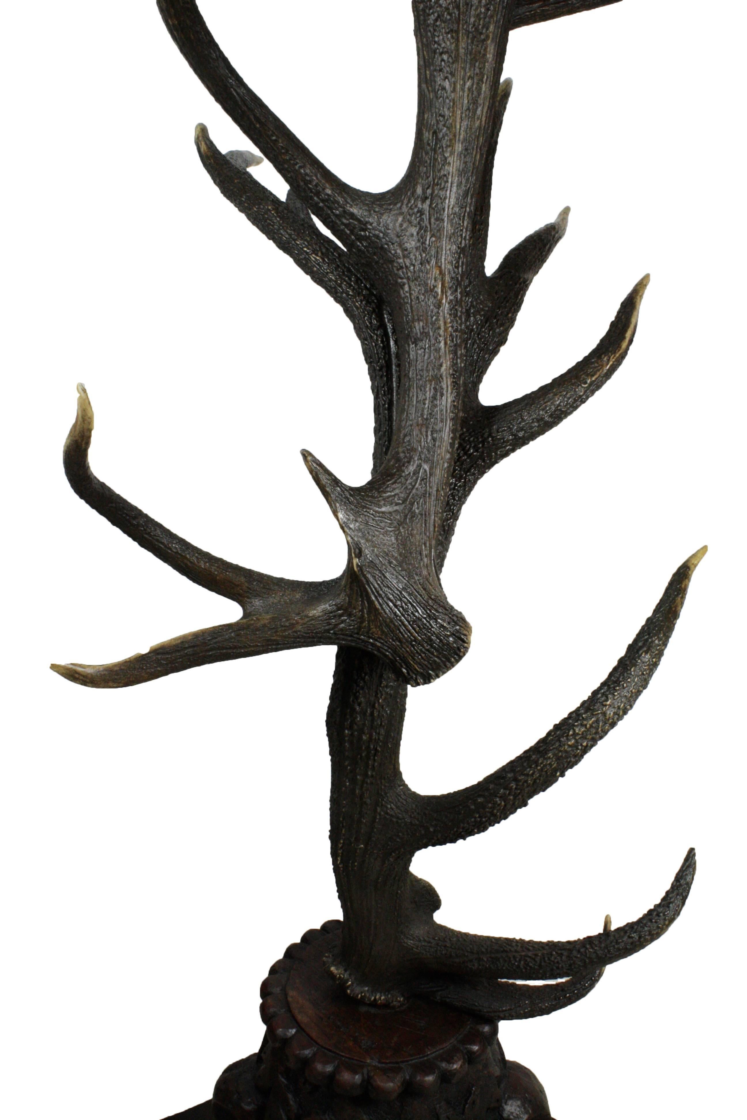 Contemporary German Red Stag Antler Hall Tree with Carved Base
