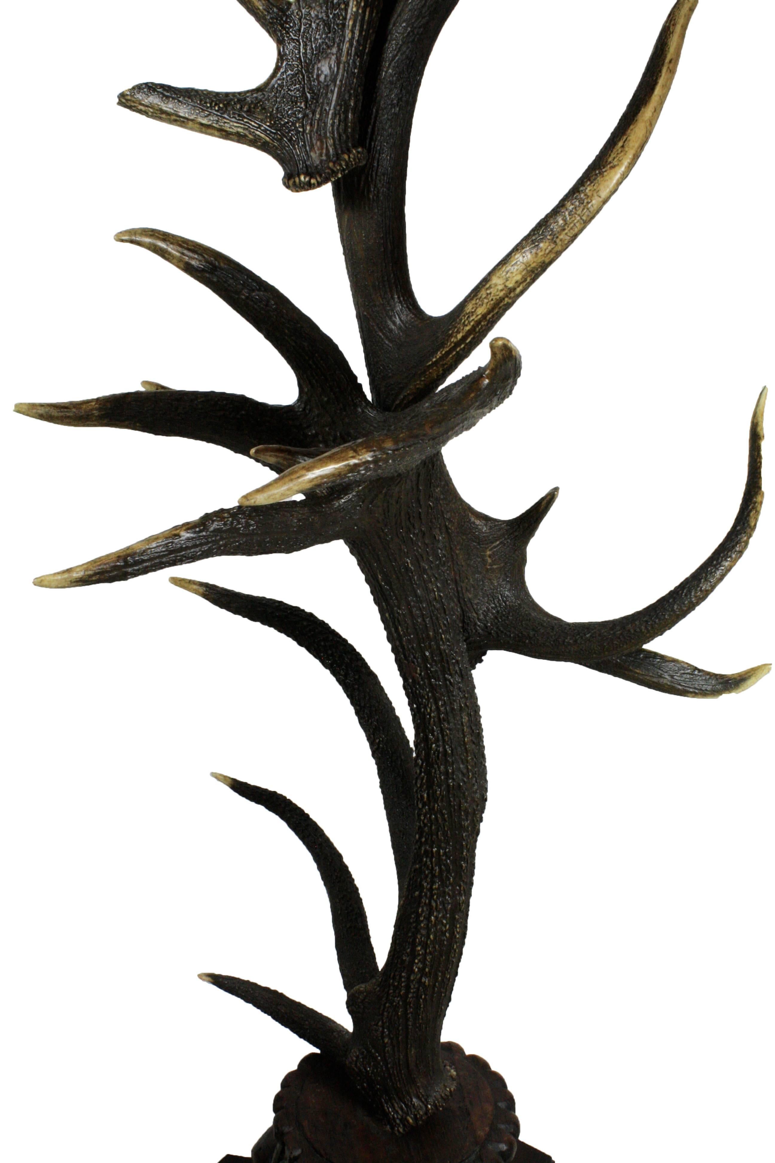 German Red Stag Antler Hall Tree with Carved Base 1