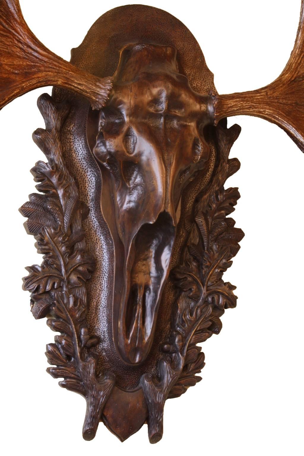 Expertly carved wooden plaque and moose skull in a European style, with shed American moose antlers mounted in a large, aggressive, forward facing position. Carved by artisan craftsman Brad Ham.

"Working with antlers and wildlife art is one
