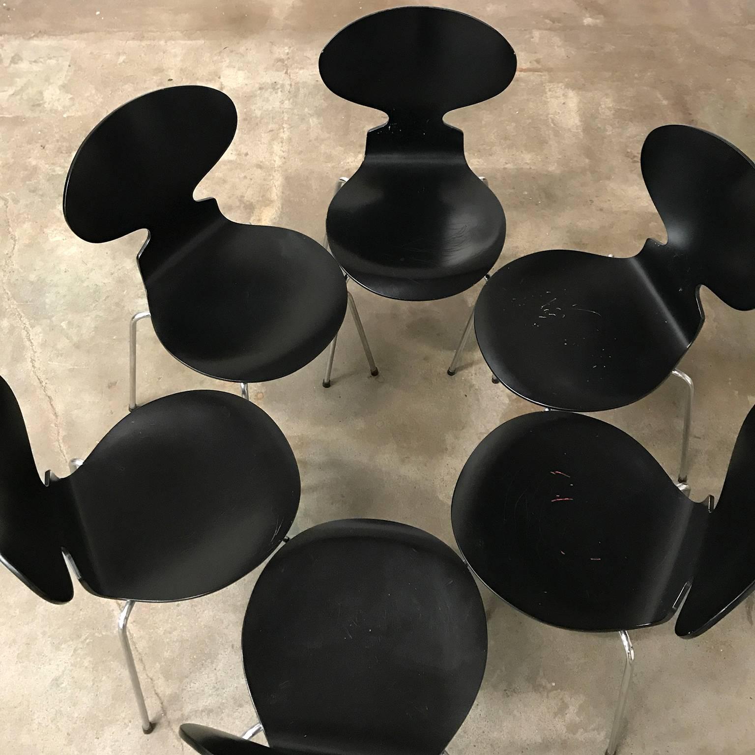 1952, Arne Jacobsen, Ant Chairs, Repainted by Piece or as a Set In Good Condition In Amsterdam IJMuiden, NL