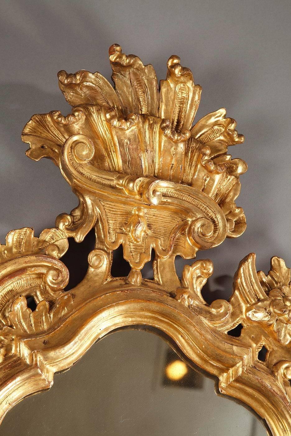 Pair of 18th Century Giltwood Rocaille Mirrors, Italian 5