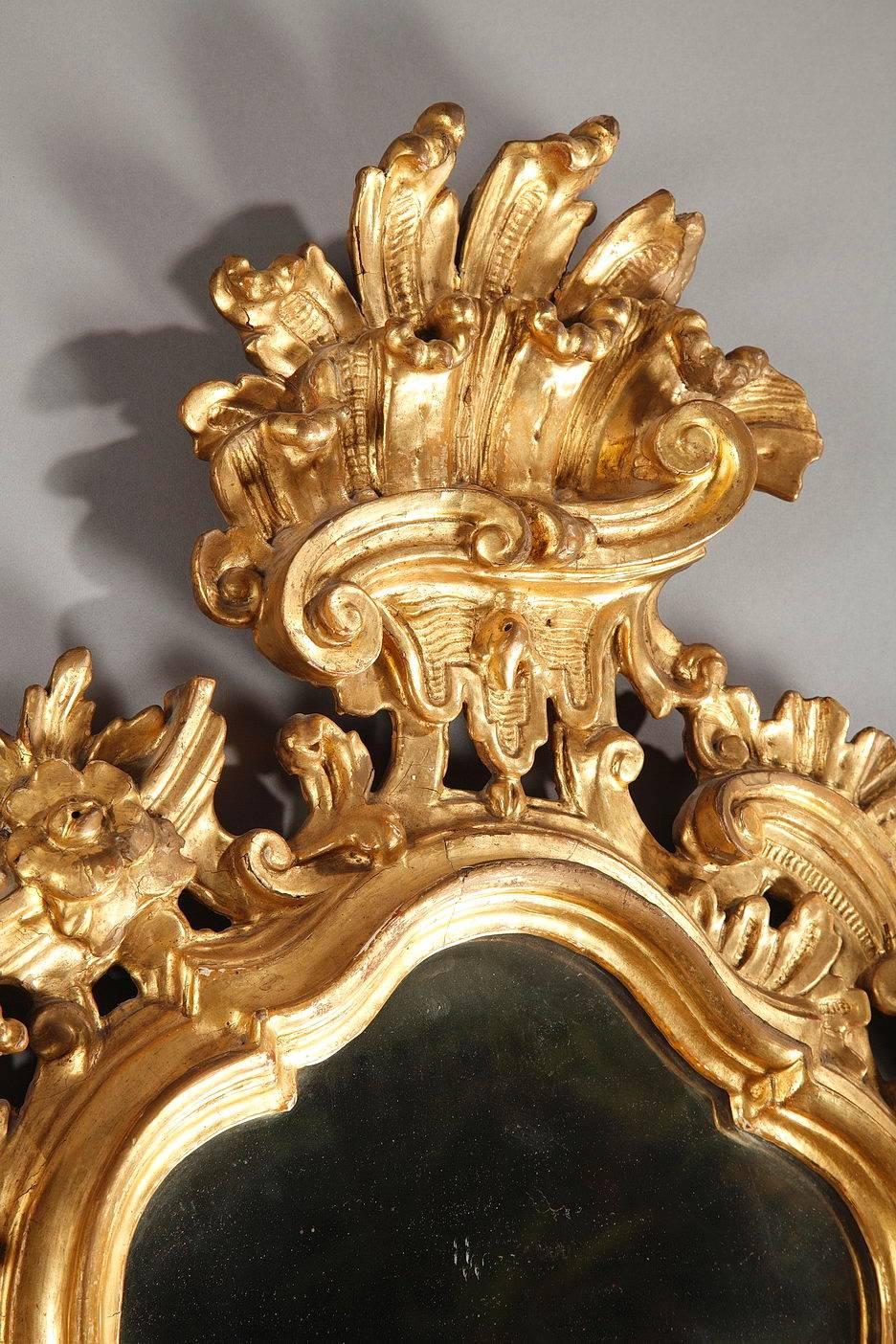 Pair of 18th Century Giltwood Rocaille Mirrors, Italian 6