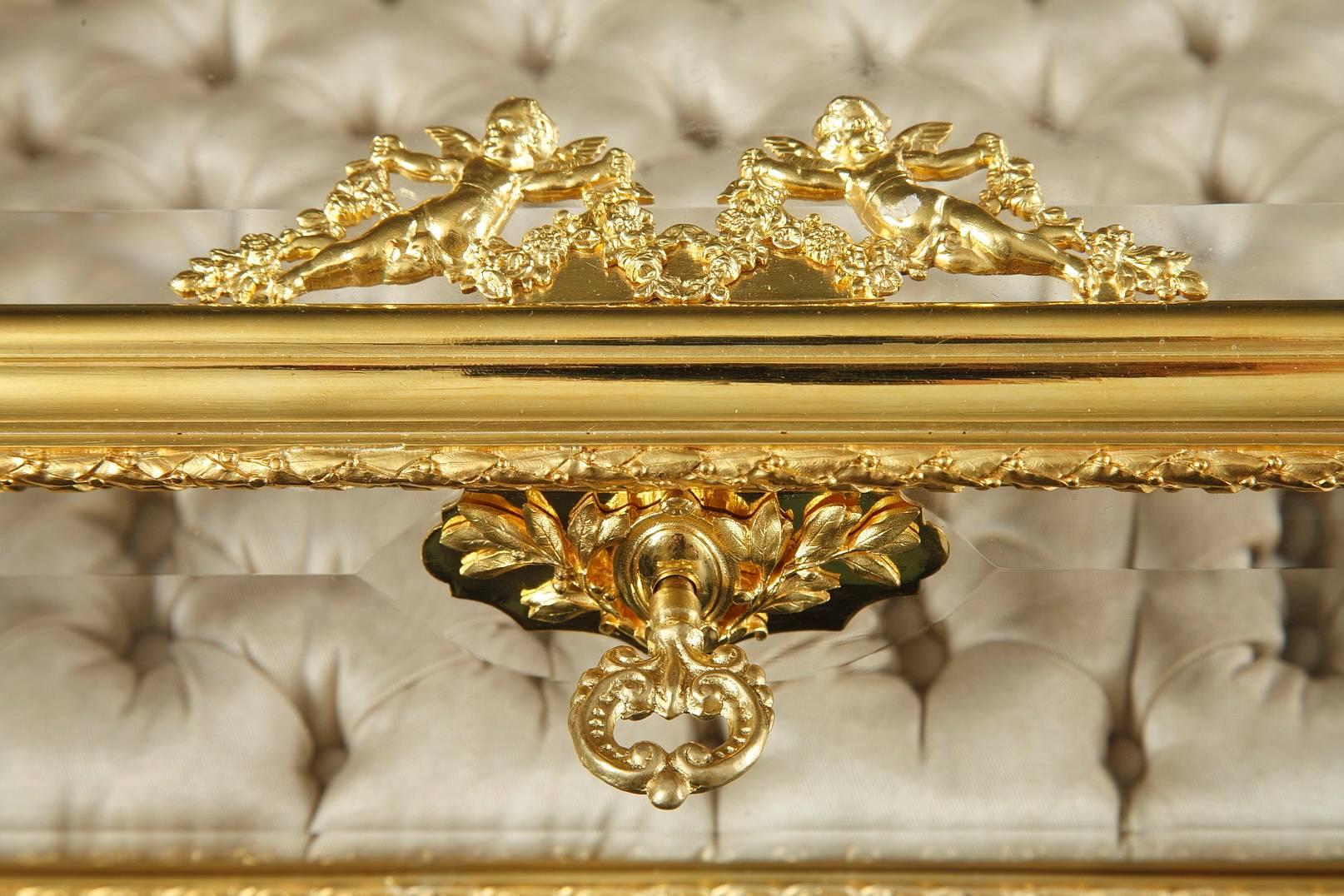 Gilt Bronze and Glass Napoleon III Display Case in Neoclassical Taste 2