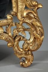 19th Century Giltwood Mirror in Louis XV Style