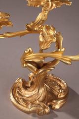 Pair of Ormolu Candelabras in Louis XV Style