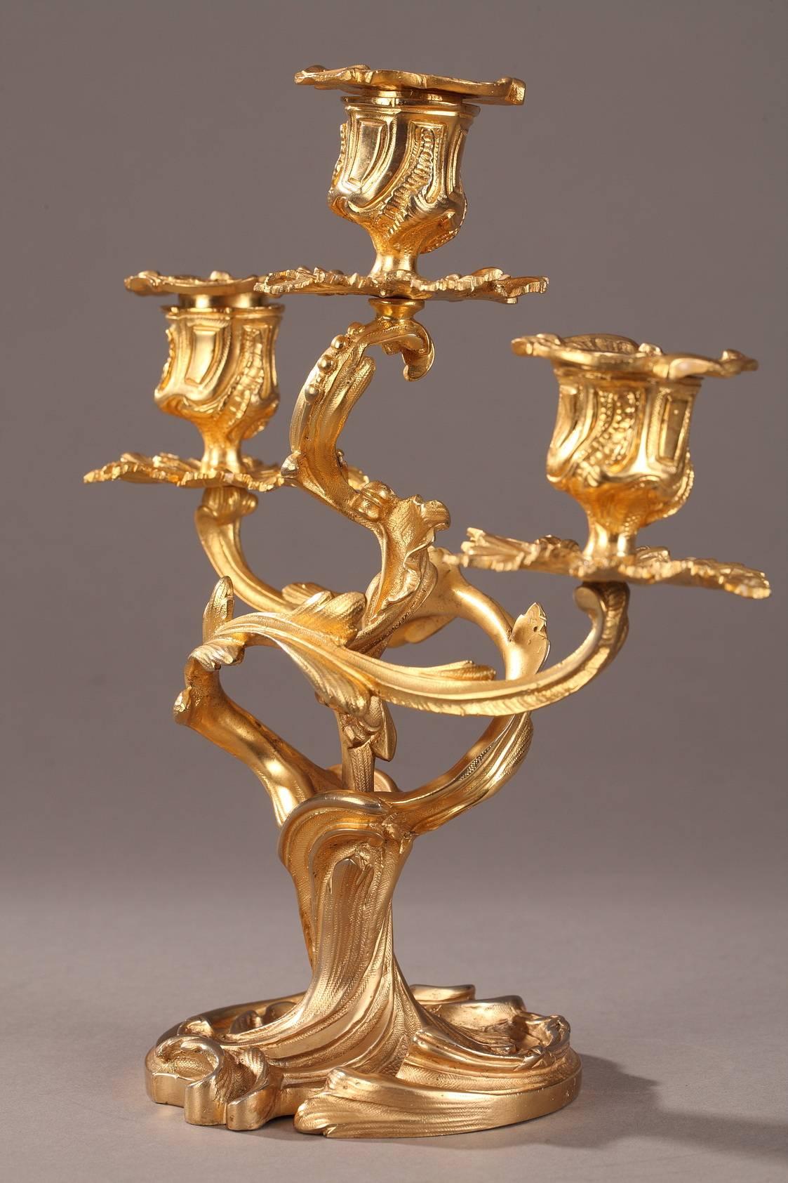 Late 19th Century Pair of Ormolu Candelabras in Louis XV Style