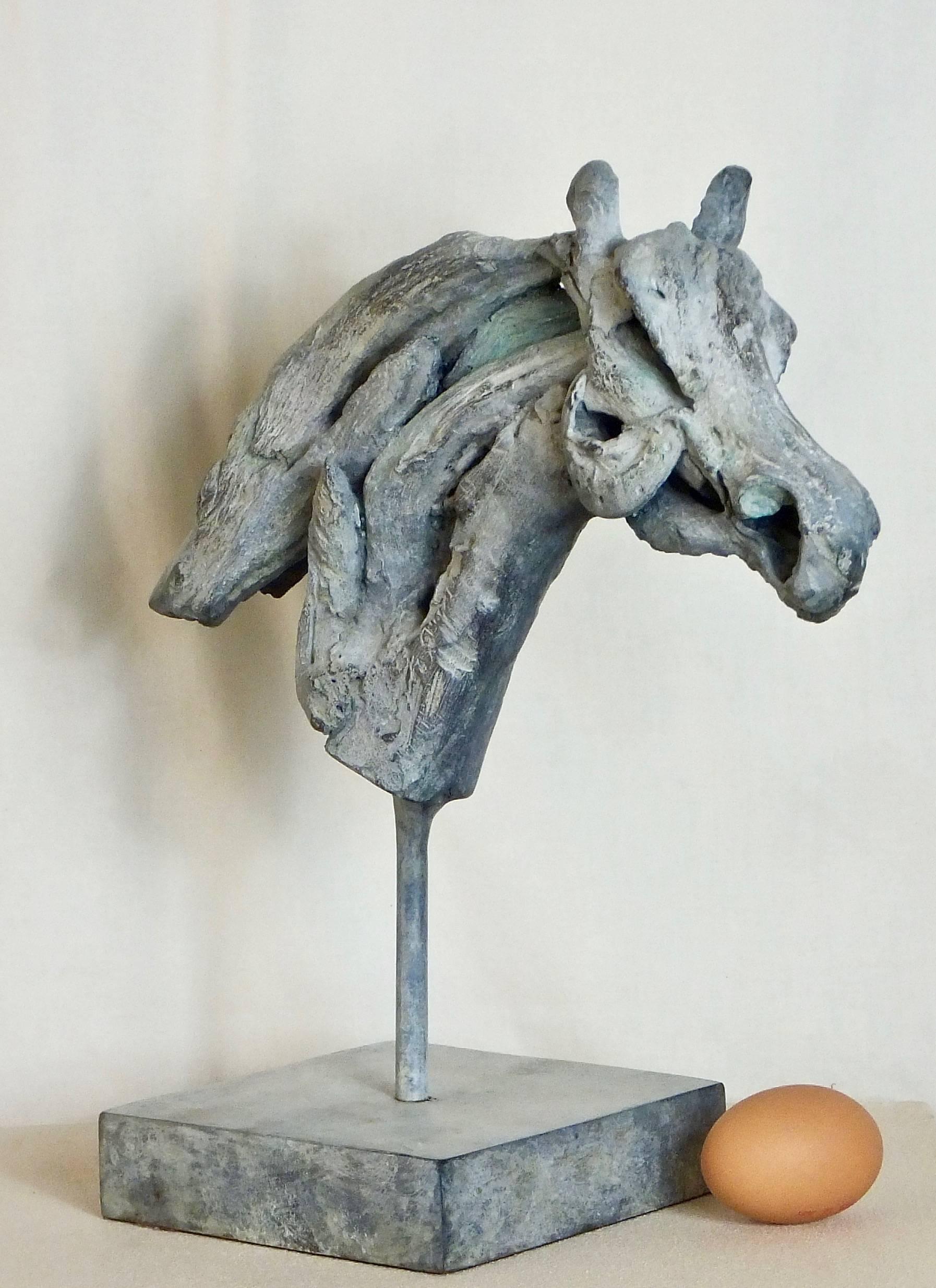 This elegant bronze sculpture , Sophia,' is in an edition of just 25 world wide . It is the bronze casting from the driftwood original from the celebrated sculptor Heather Jansch. The work is cast and finished in the UK.

We are pleased to offer