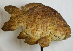 Contemporary Bronze Fish Sculpture 'Oscar, ' by Pieter Vanden Daele