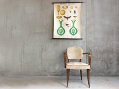 1970s Botanical Pull Down Poster