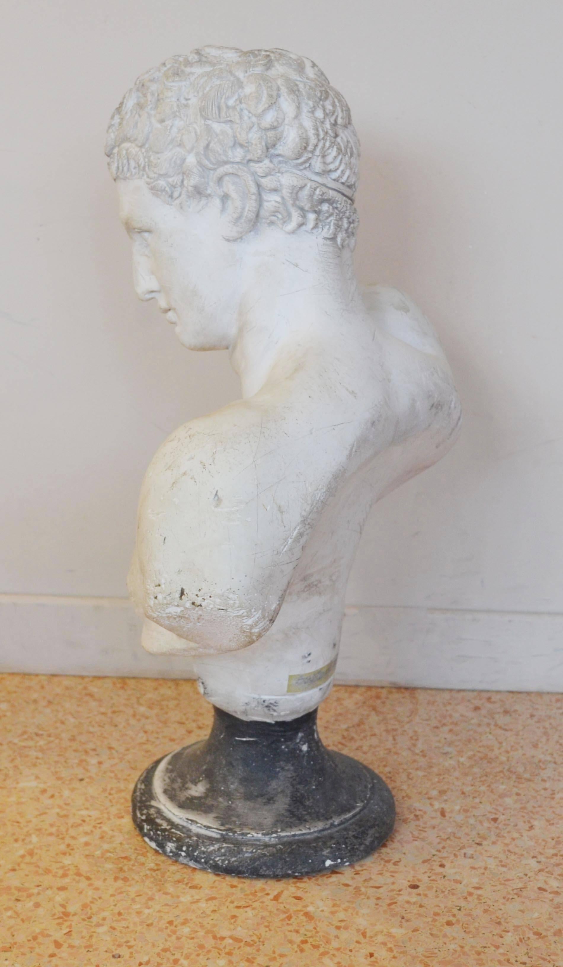 This plaster bust representing Hermes was made in Italy, circa 1940s.
It comes with its original patina, it can be cleaned a bit up-on request.

To have a (fast and out of interest) shipment quotation, we just need the destination zip code.
To have