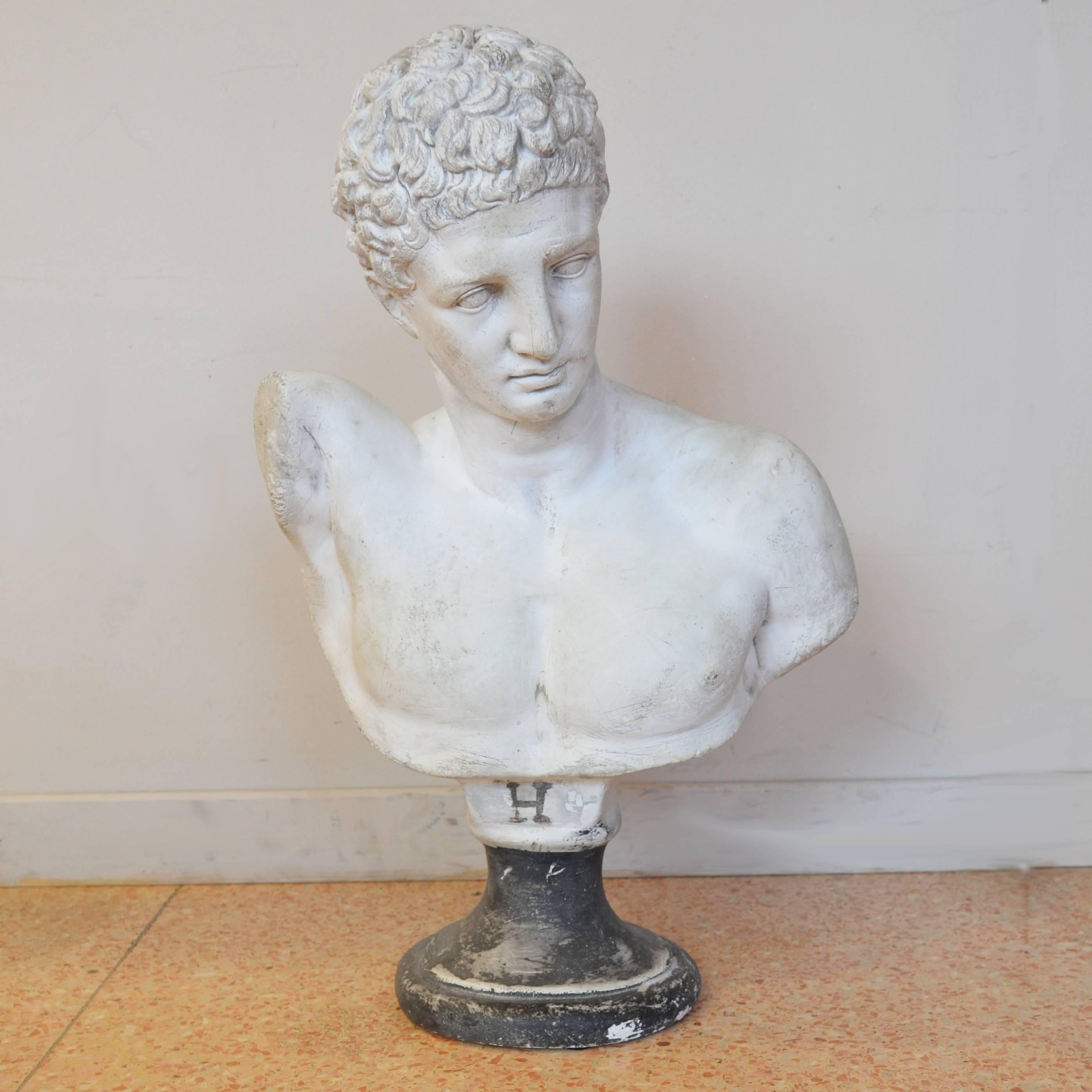 Mid-Century Modern 20th Century Plaster Bust Hermes