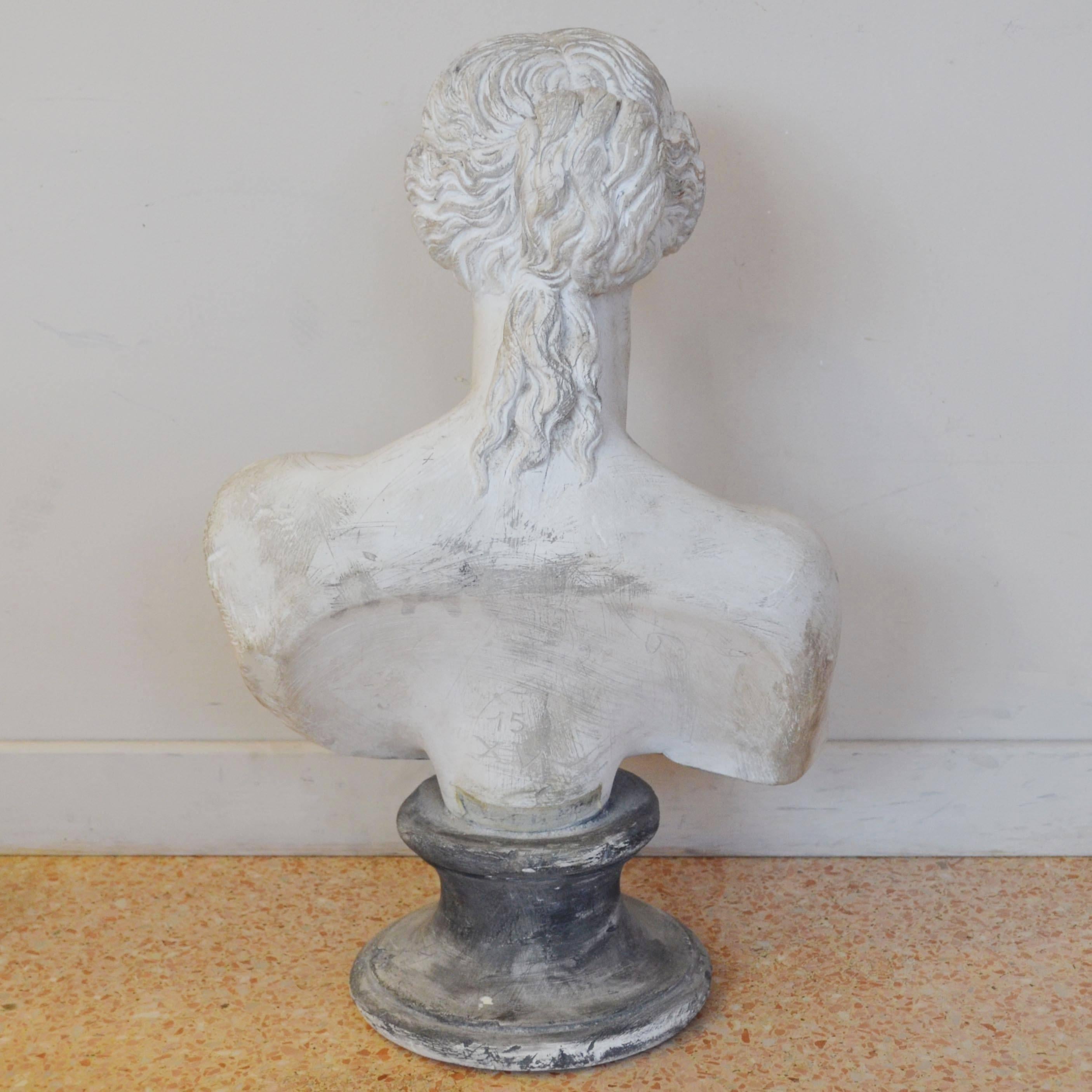 Plaster bust representing Venus made in Italy, circa 1940s. It is in its original patina, upon request we can clean it a bit to re-establish the white color.

To have a (fast and out of interest) shipment quotation, we just need the destination zip