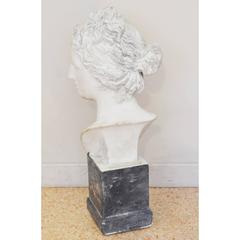 20th Century Venus Plaster Bust