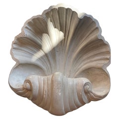 1950s Plaster Shell Wall Lamp, soft and romantic light