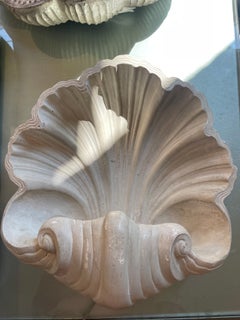1950s Plaster Shell Wall Lamp, soft and romantic light