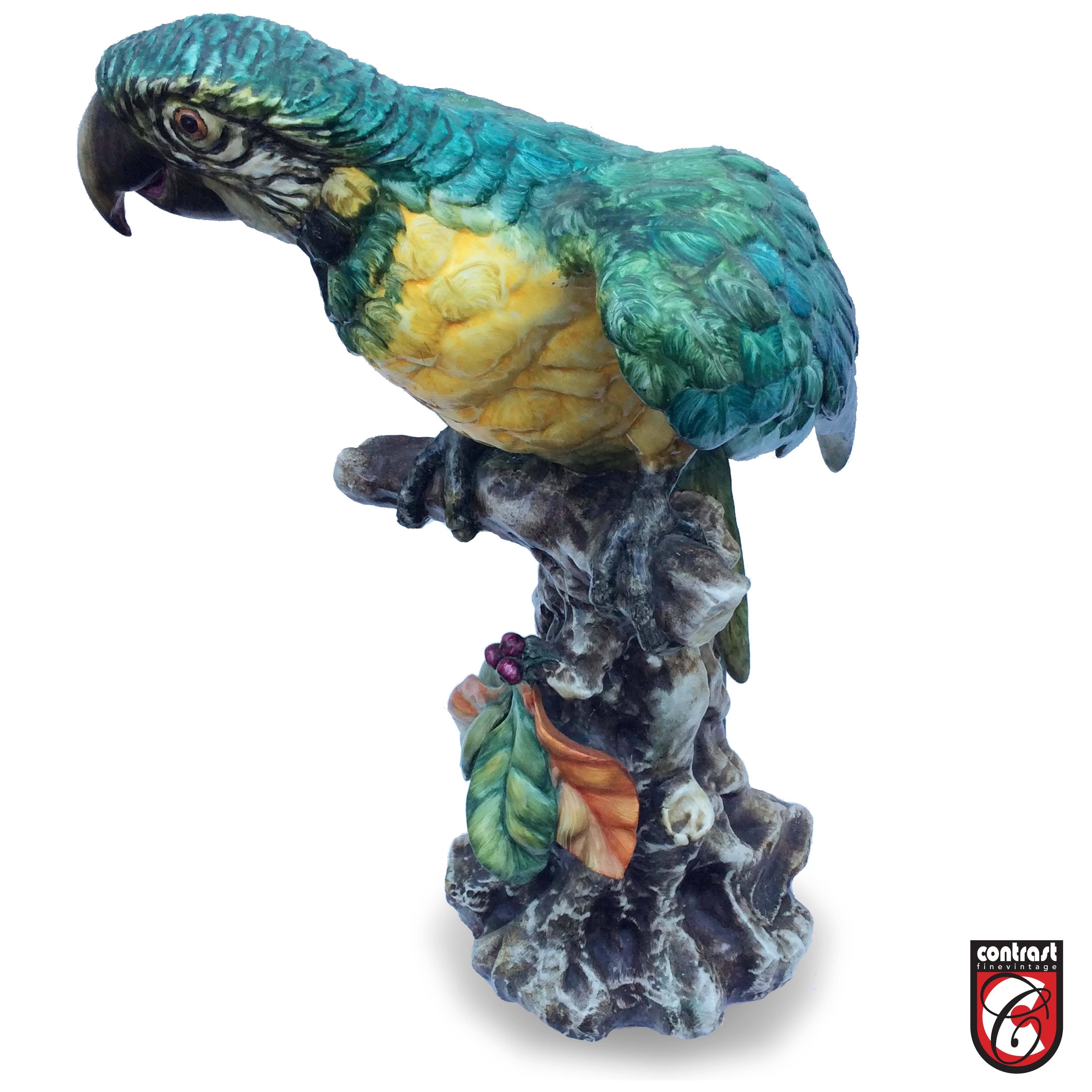 Other Italian Porcelain Parrot Statue, Signed Guido Cacciapuoti For Sale